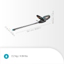 Image thumbnail