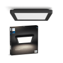 Image thumbnail