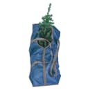 Image thumbnail