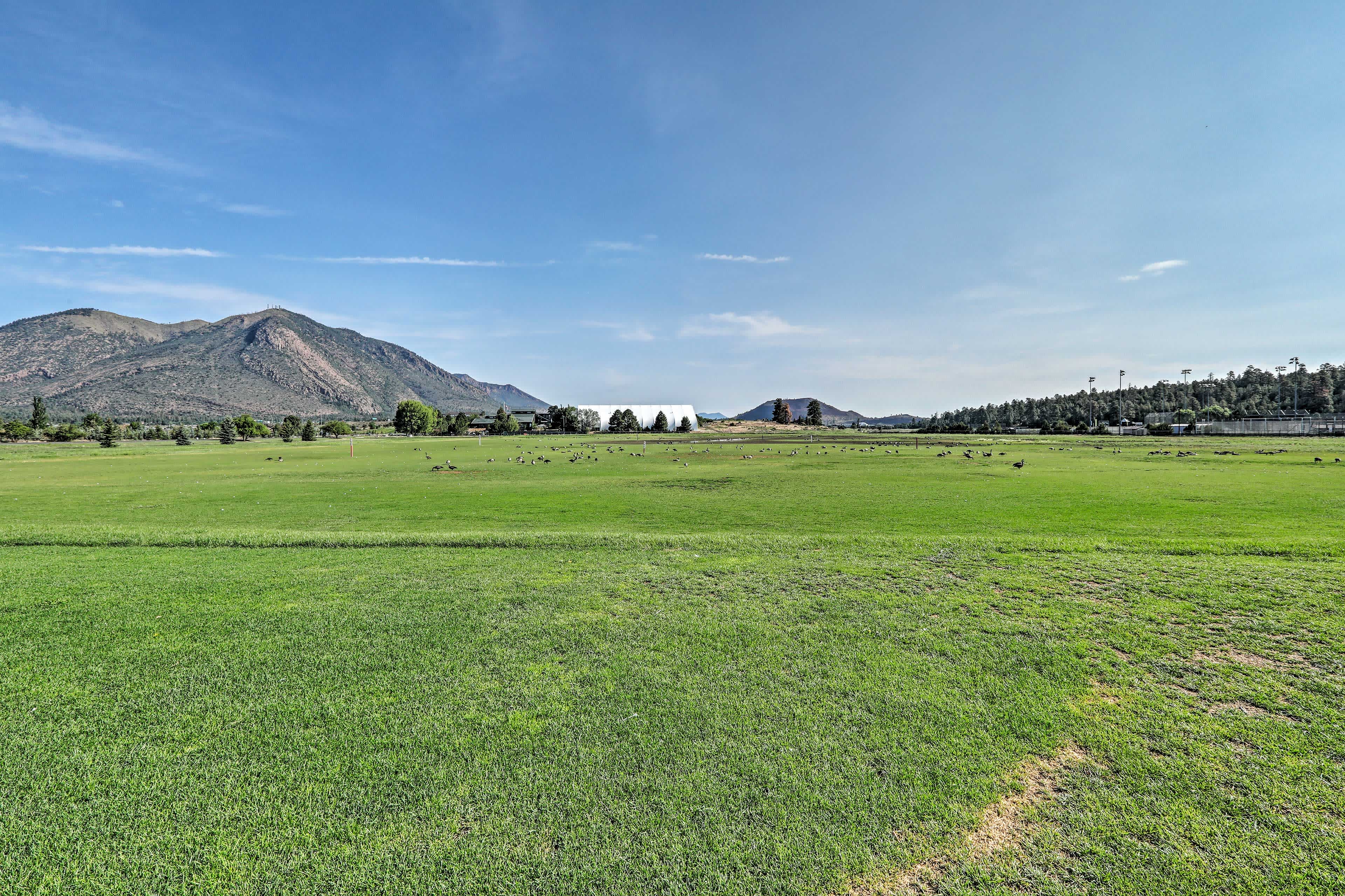 View of a green field and mountain view in the background in Flagstaff, AZ