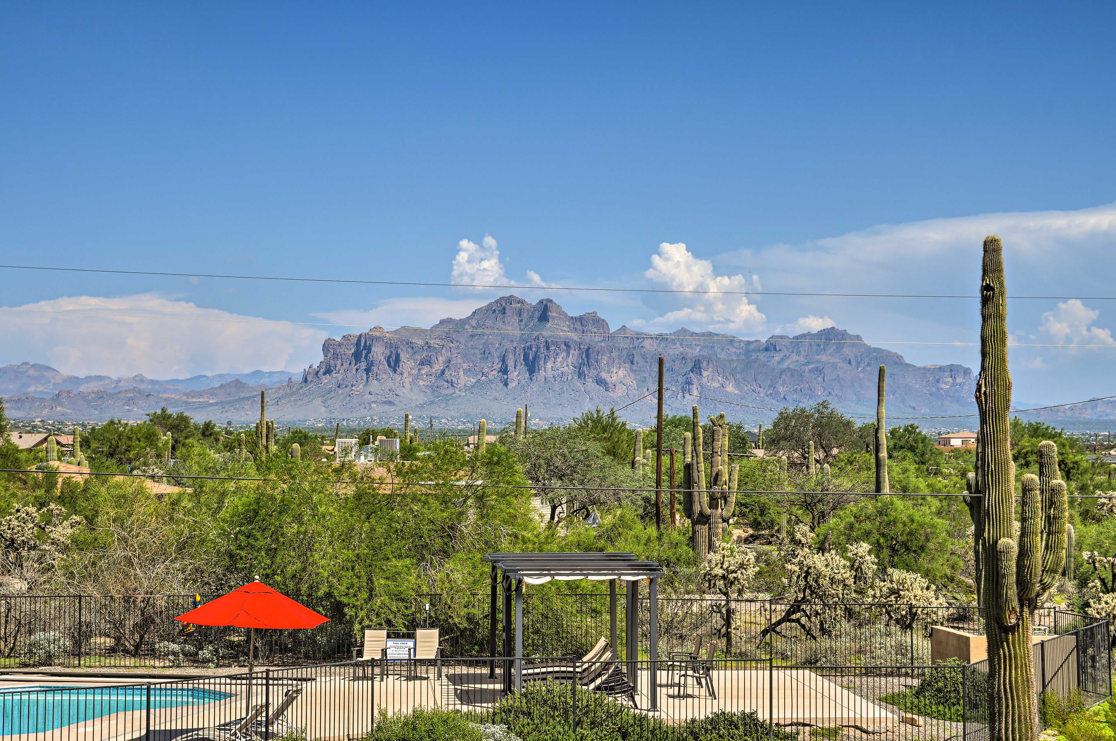 Aerial view of cactus and greenery in the foreground and mountains in the background in Mesa, AZ