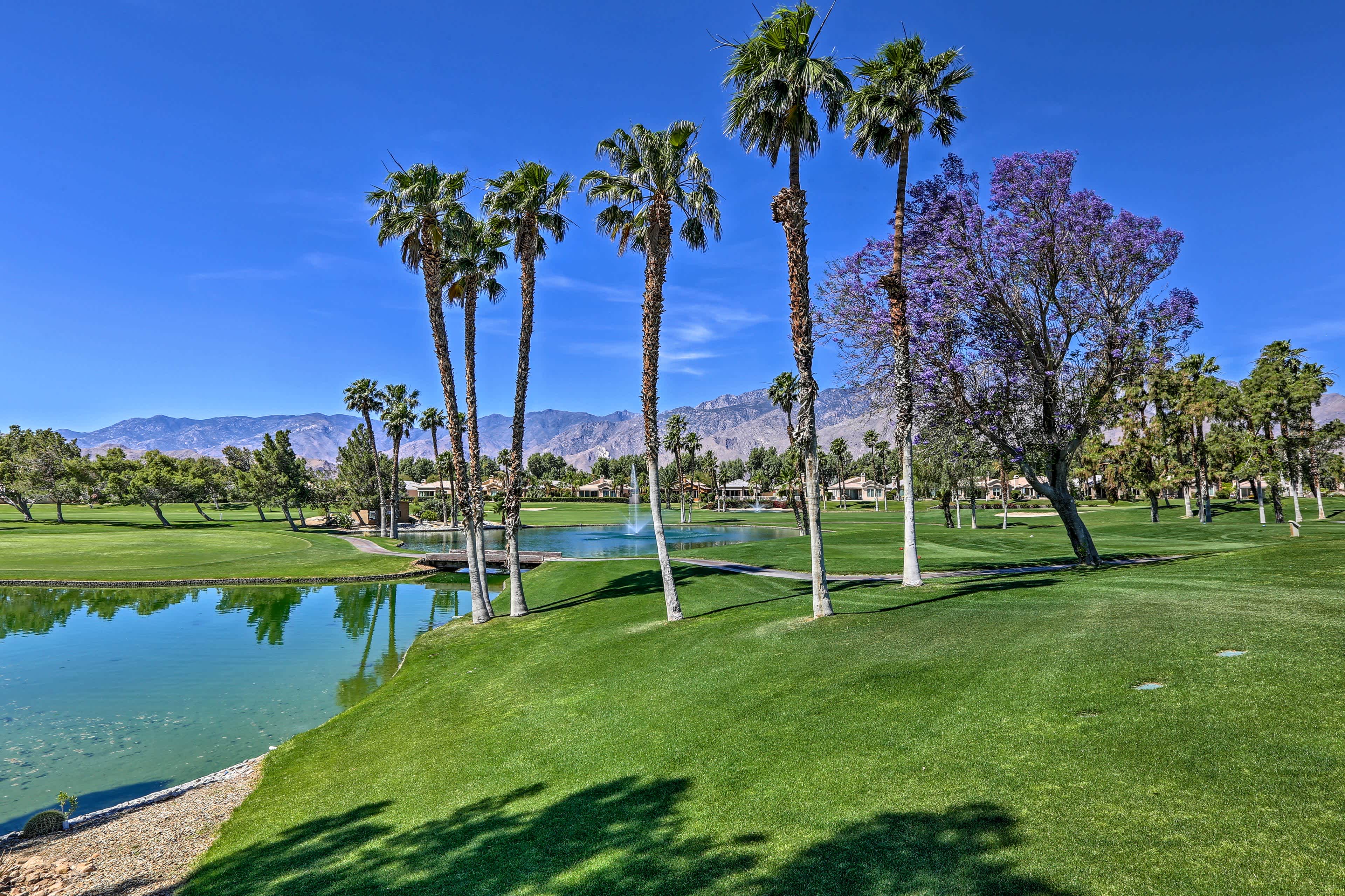 Green view of Cathedral City, CA golf course with palm trees and a lake in the foreground and mountains in the background