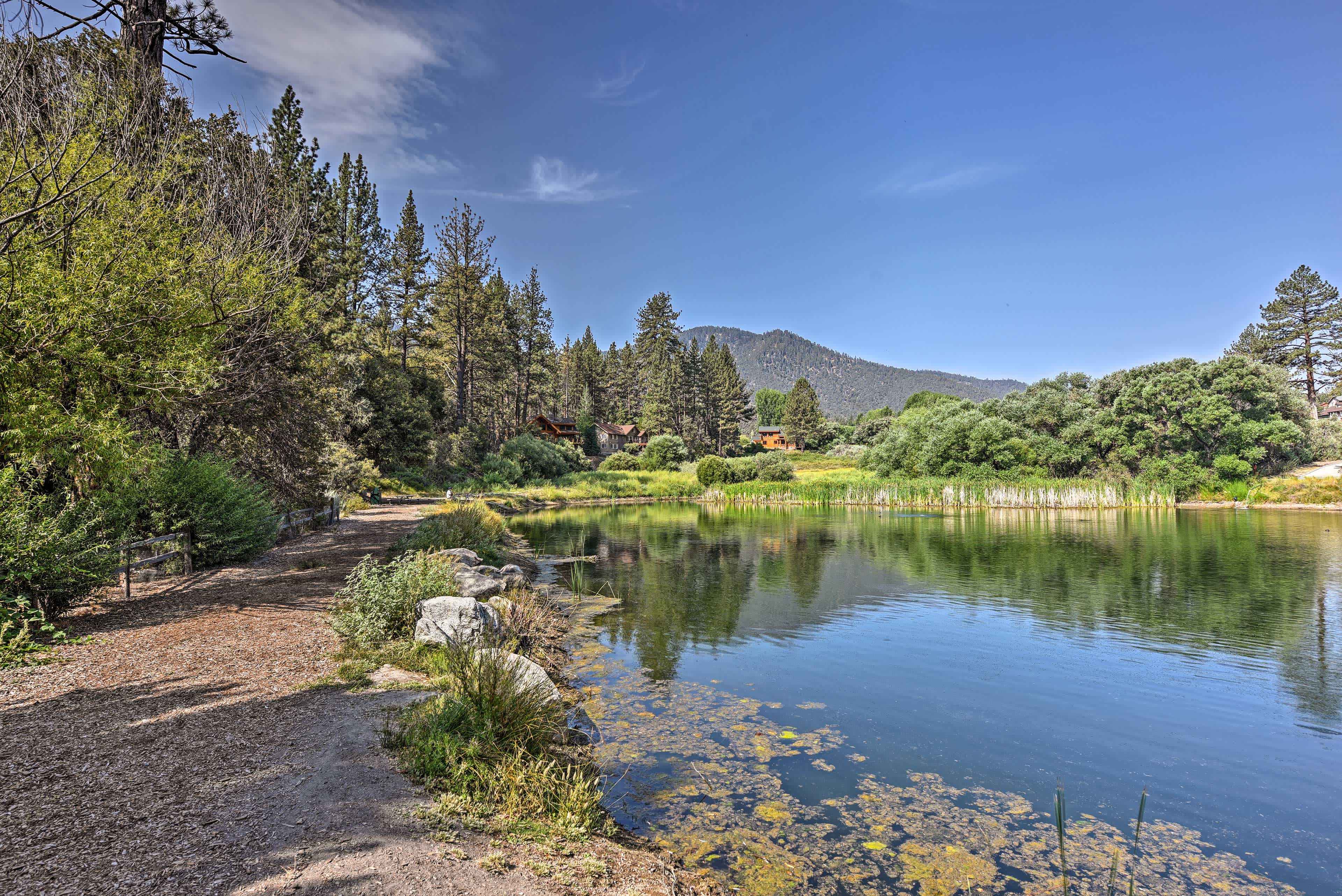 Landscape view of a pond in Pine Mountain Club, CA with a green forest surrounding it and tree-covered mountain in the distance