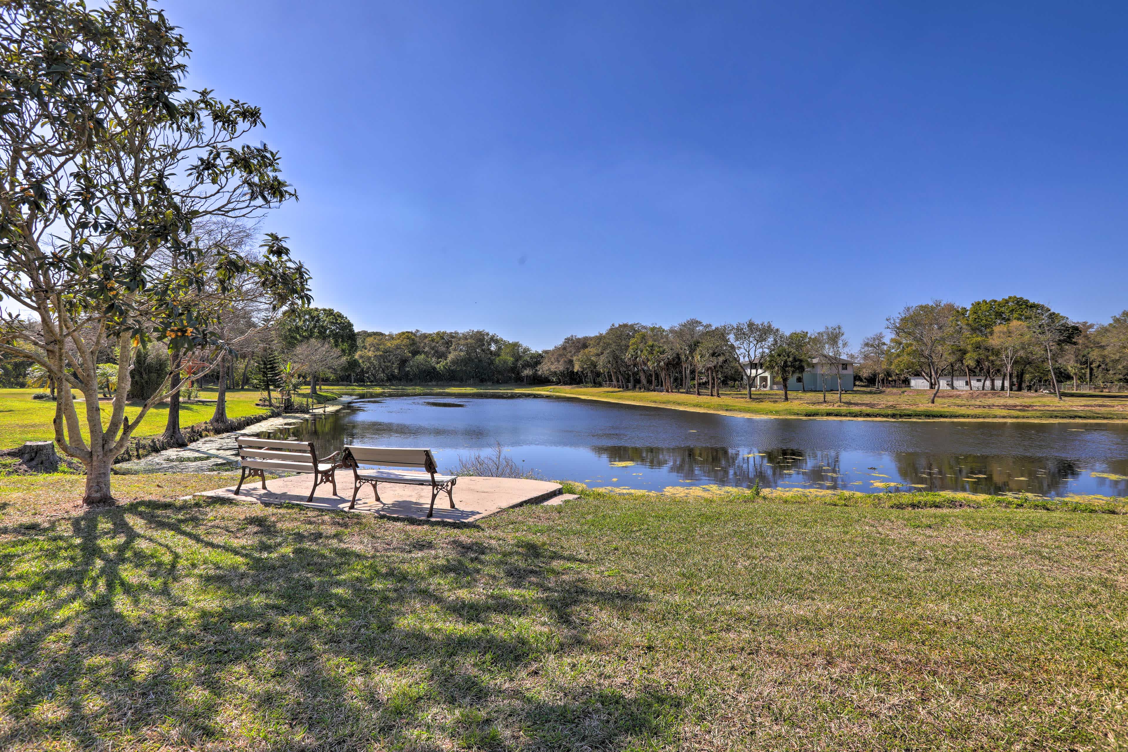 View of park benches in front of a suburbanpond in Largo, FL with blue skies above