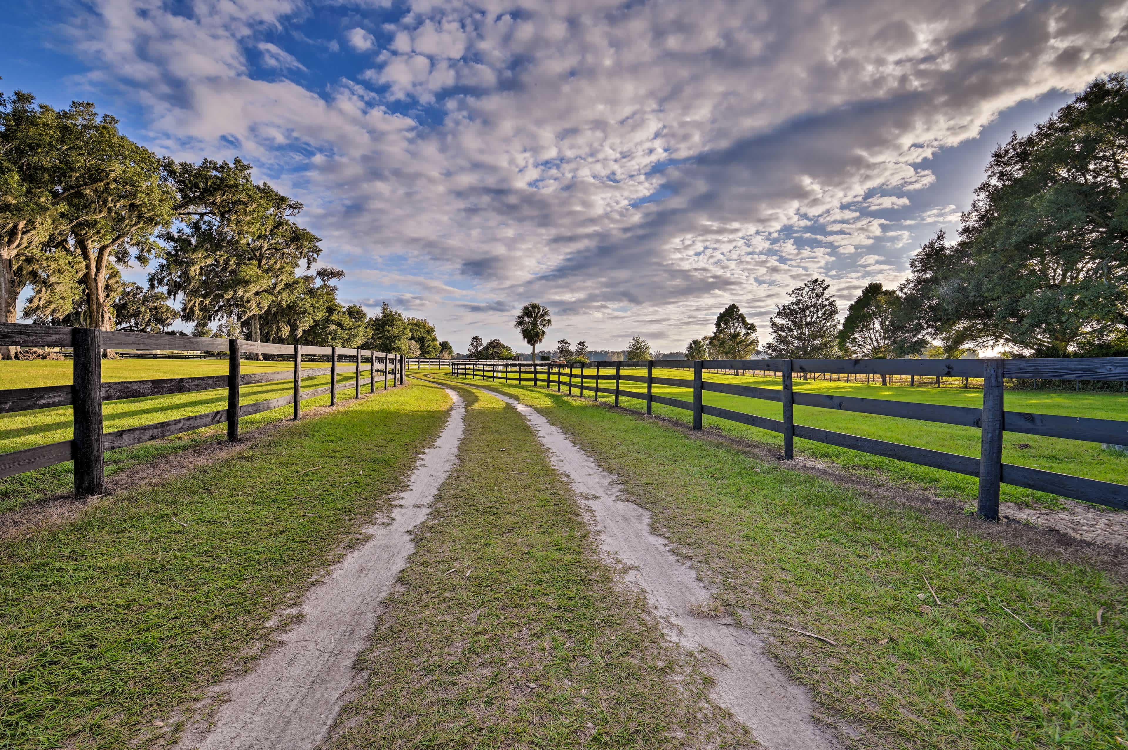 Landscape view of two-track road lined with wooden horse fences with blue sky overhead Ocala, FL