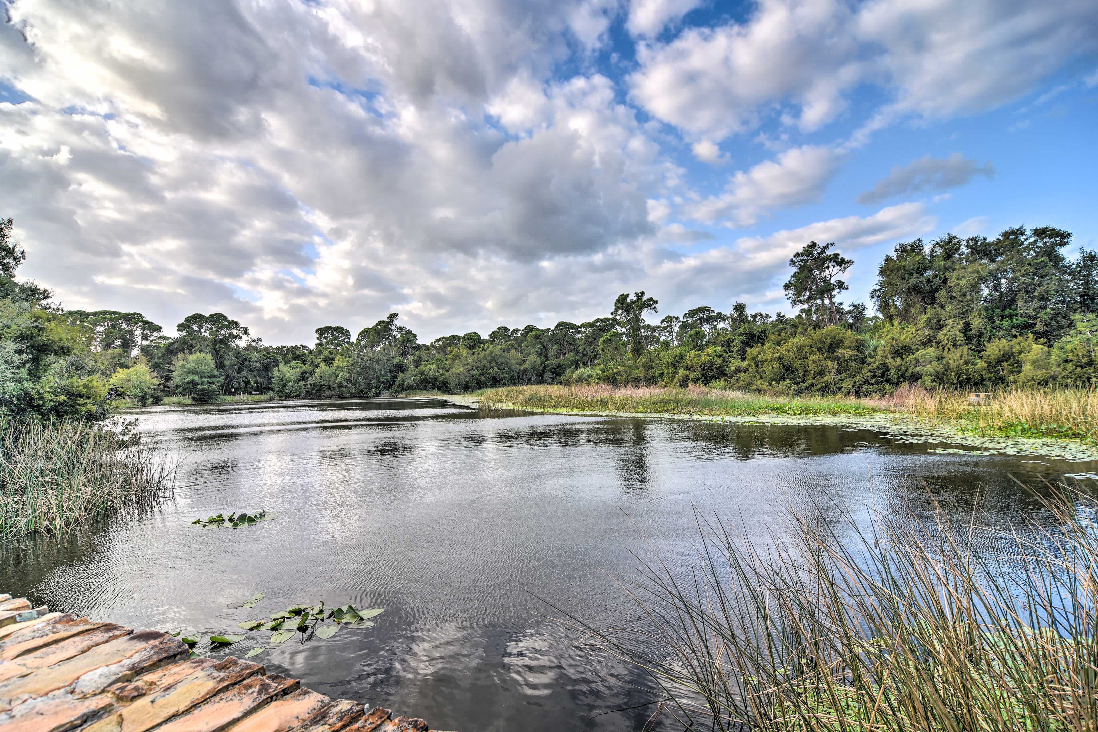 View of a pond in Seminole, FL with green trees surrounding it, and blue skies overhead