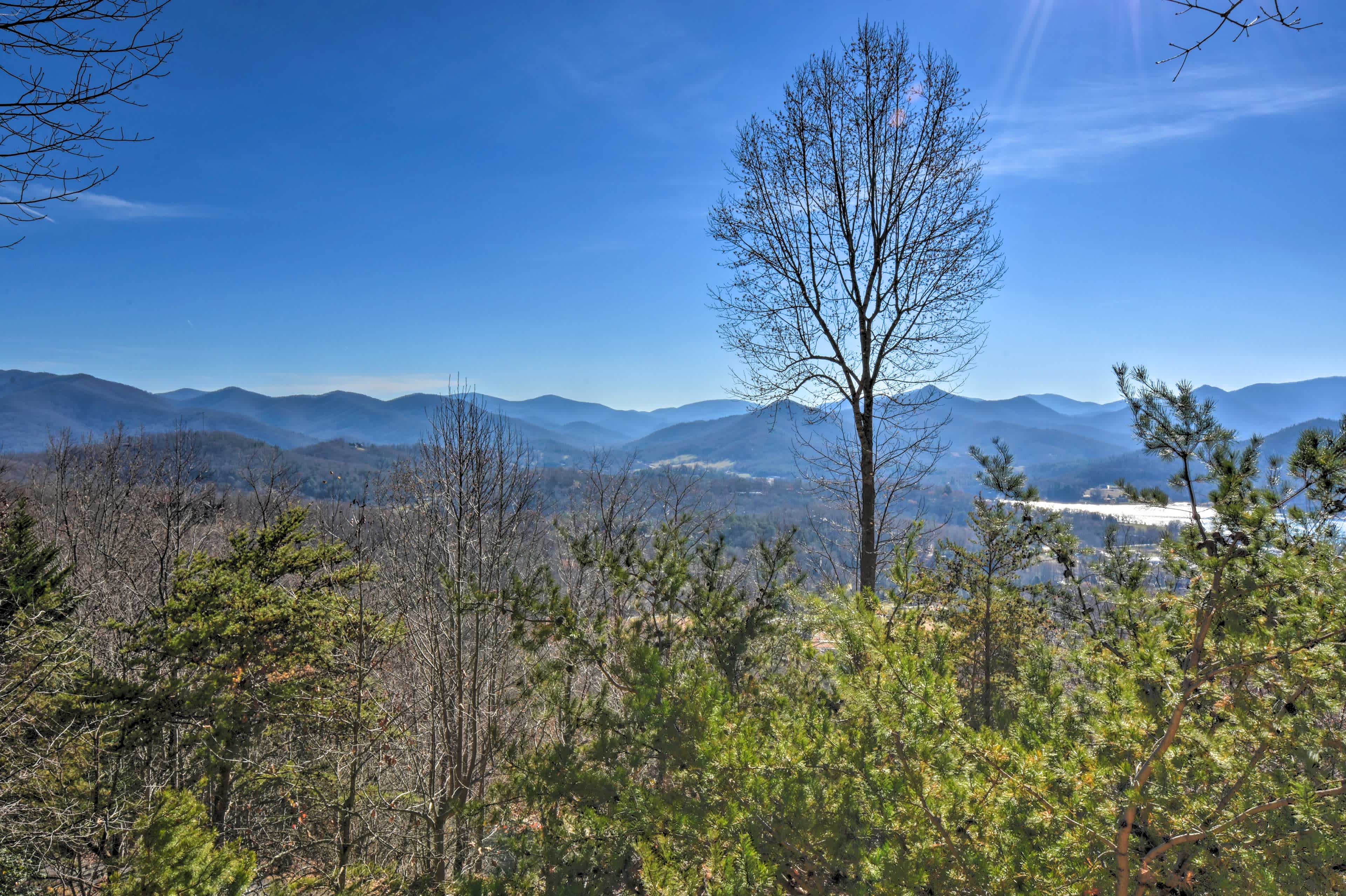 View of trees with mountains in the backbround in Hiawassee, GA