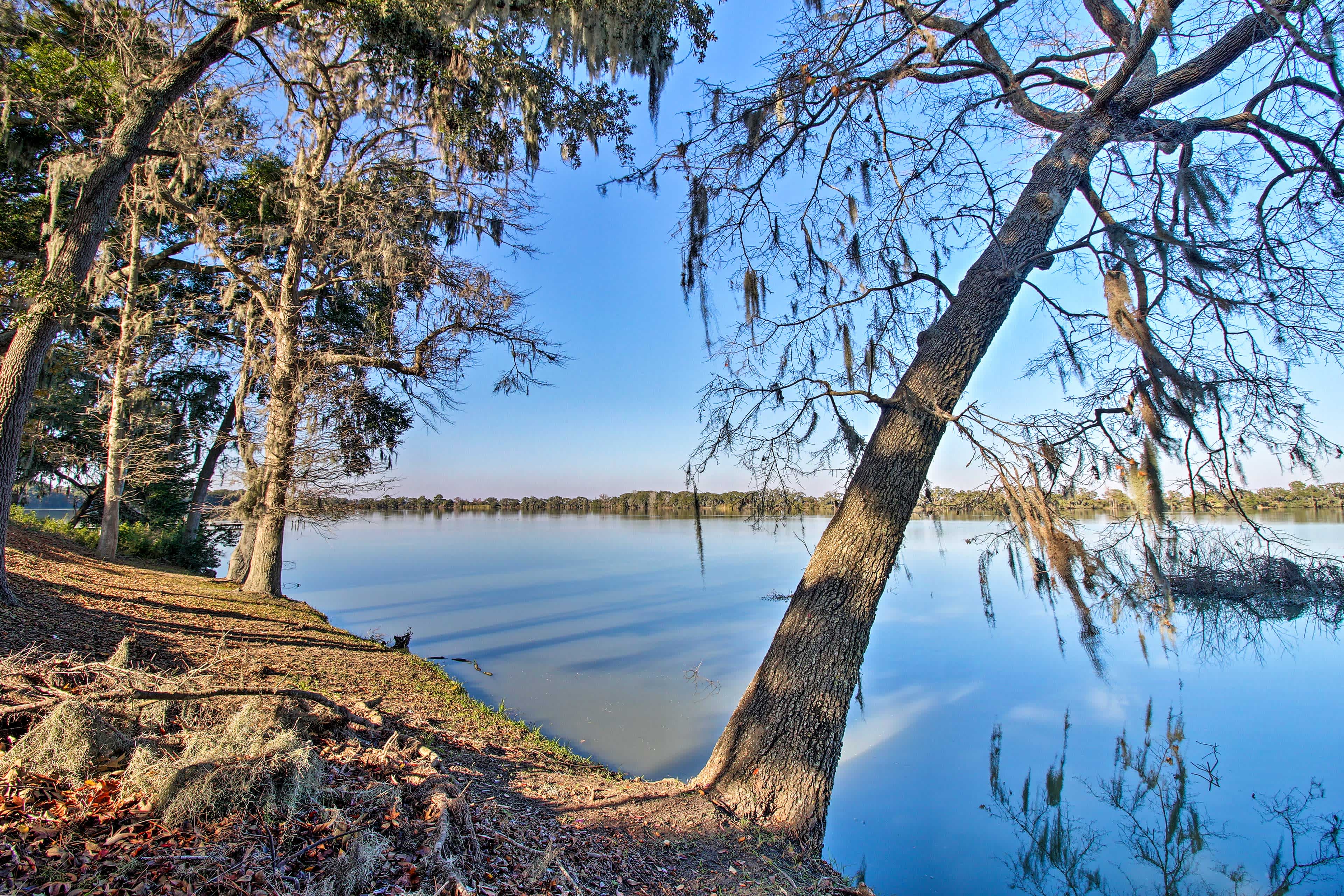 Lake view in Midway, GA with water and blue skies on the right, and trees on the shore on the left