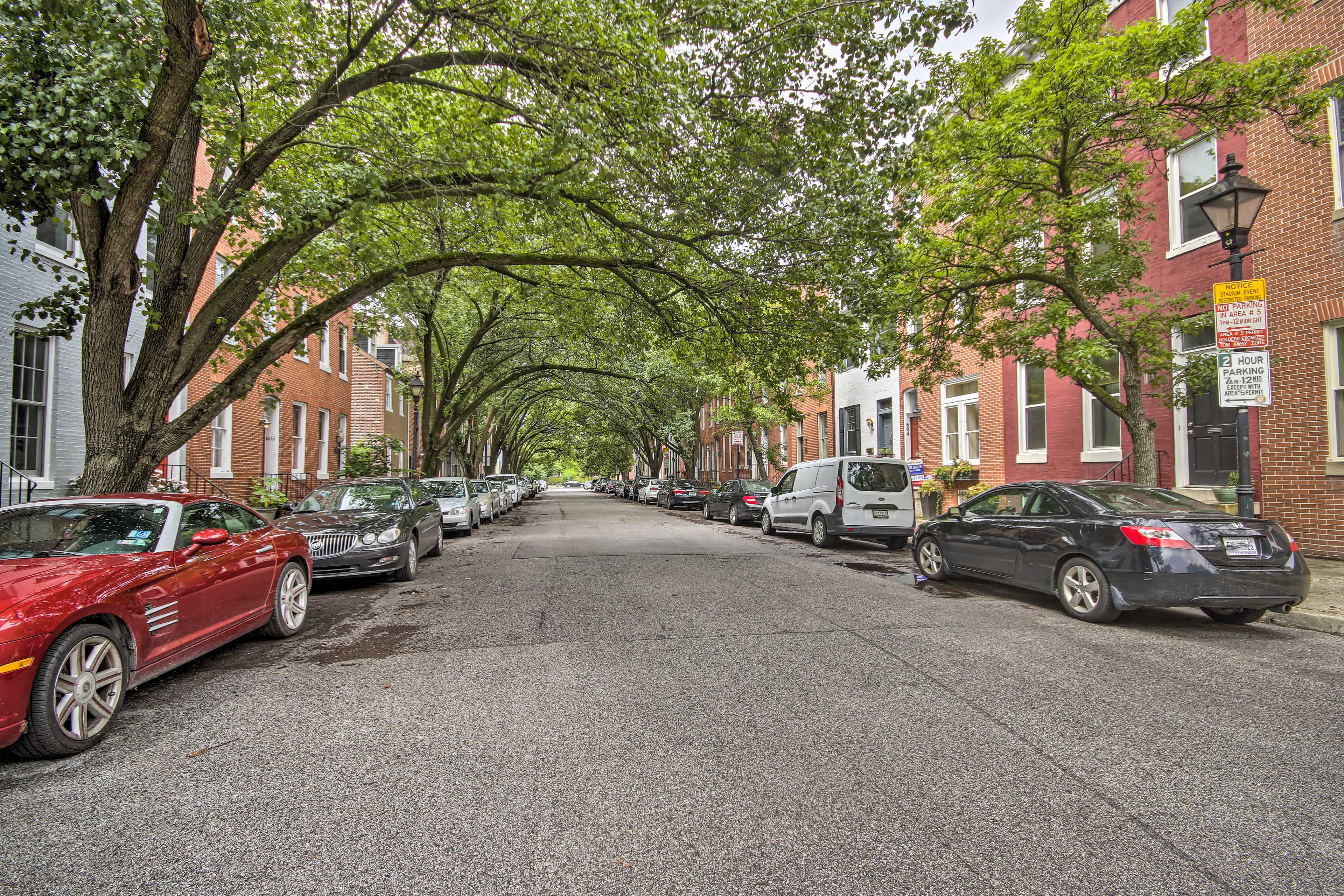 Looking down a tree covered street in Baltimore, MD with trees and brownstones on both sides