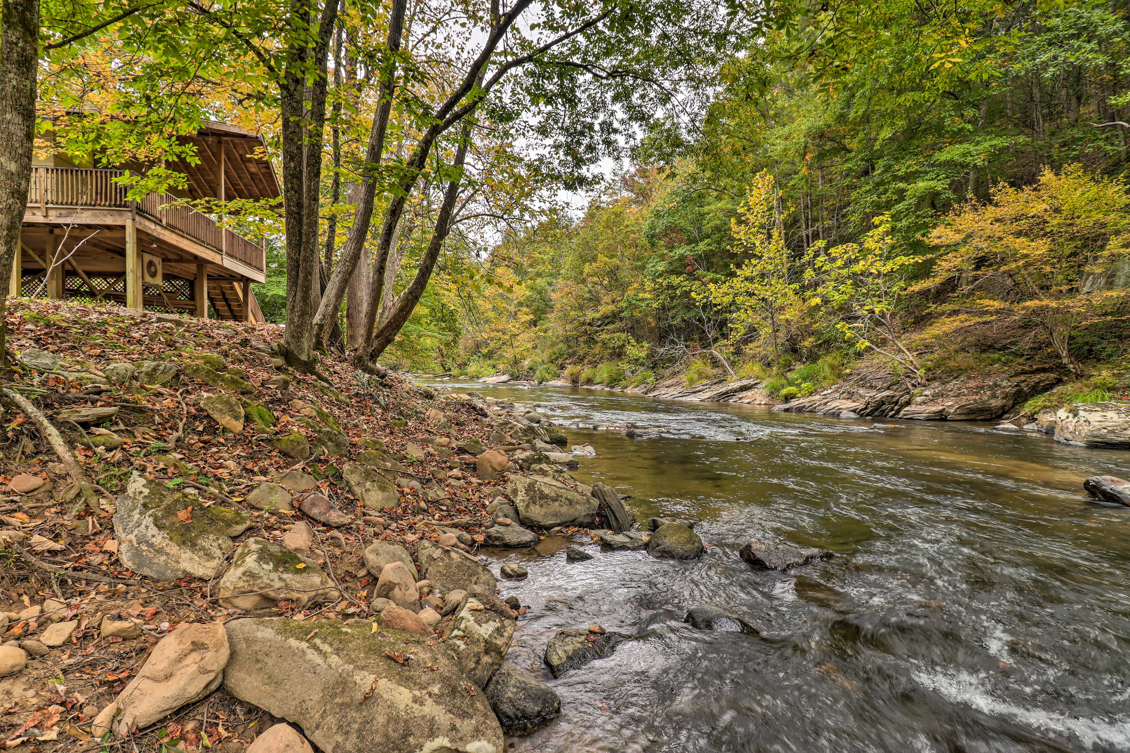 View down a river in a back yeard in Weaverville, NC surrounded by a forest