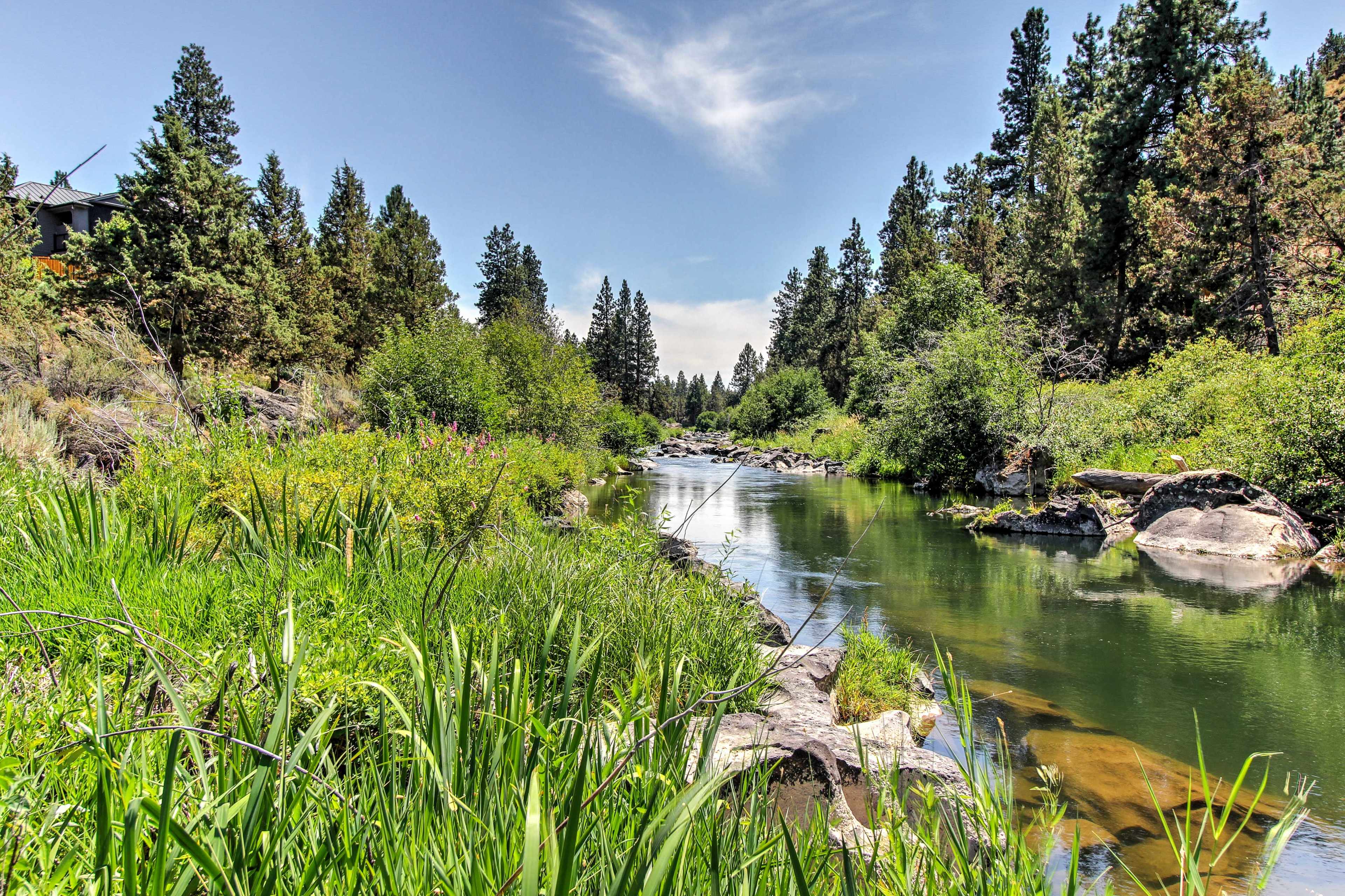View of green grass, a winding river, and green trees in Bend, OR