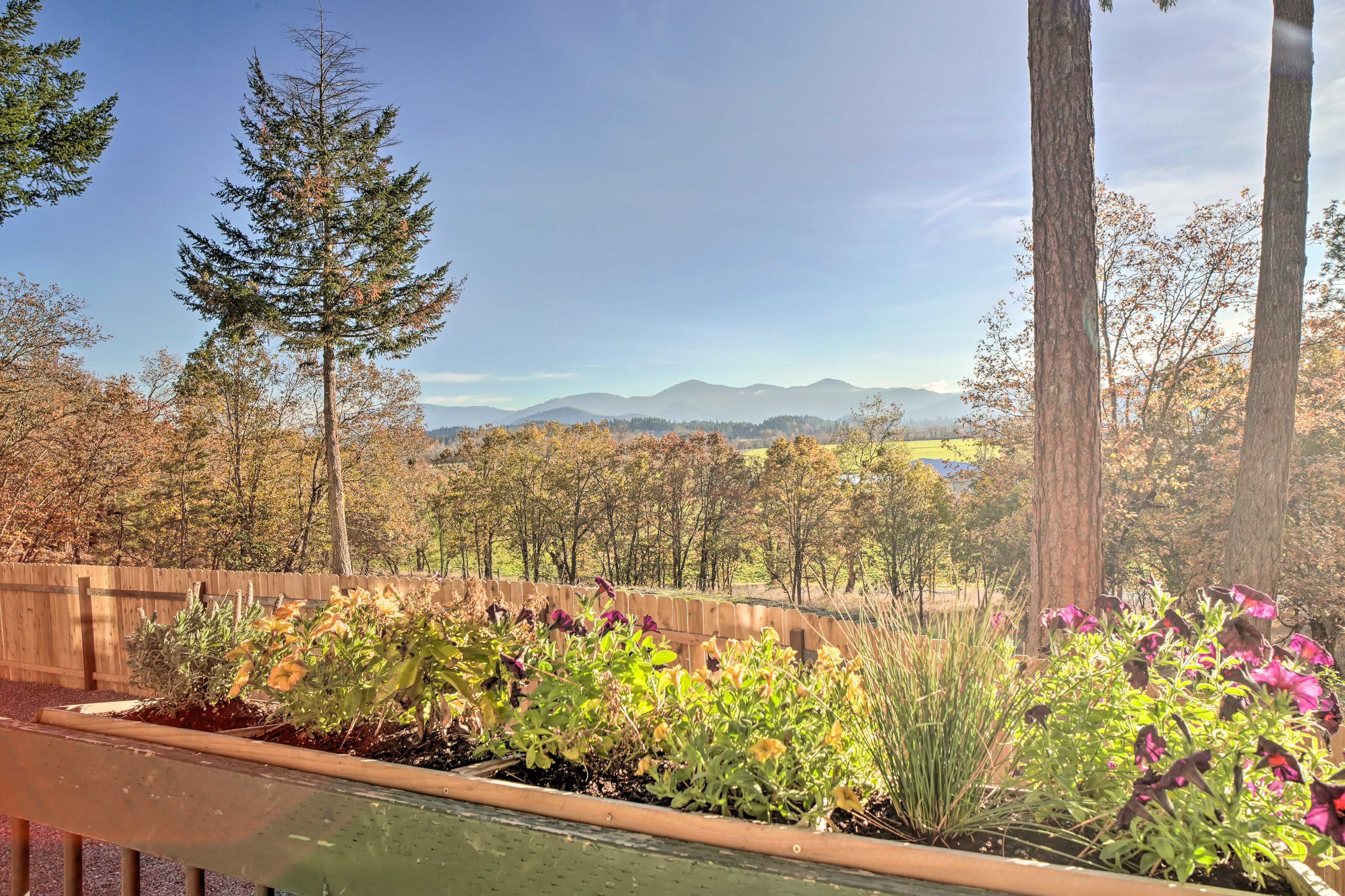 New Landing Pages
New Landing Pages
100%
10
G74:H74

View of a valley with autumn tress, potted flowers in the foreground, and mountains in the background in Grants Pass, OR
 
 
 		
View of a valley with autumn tress, potted flowers in the foreground, and mountains in the background in Grants Pass, OR