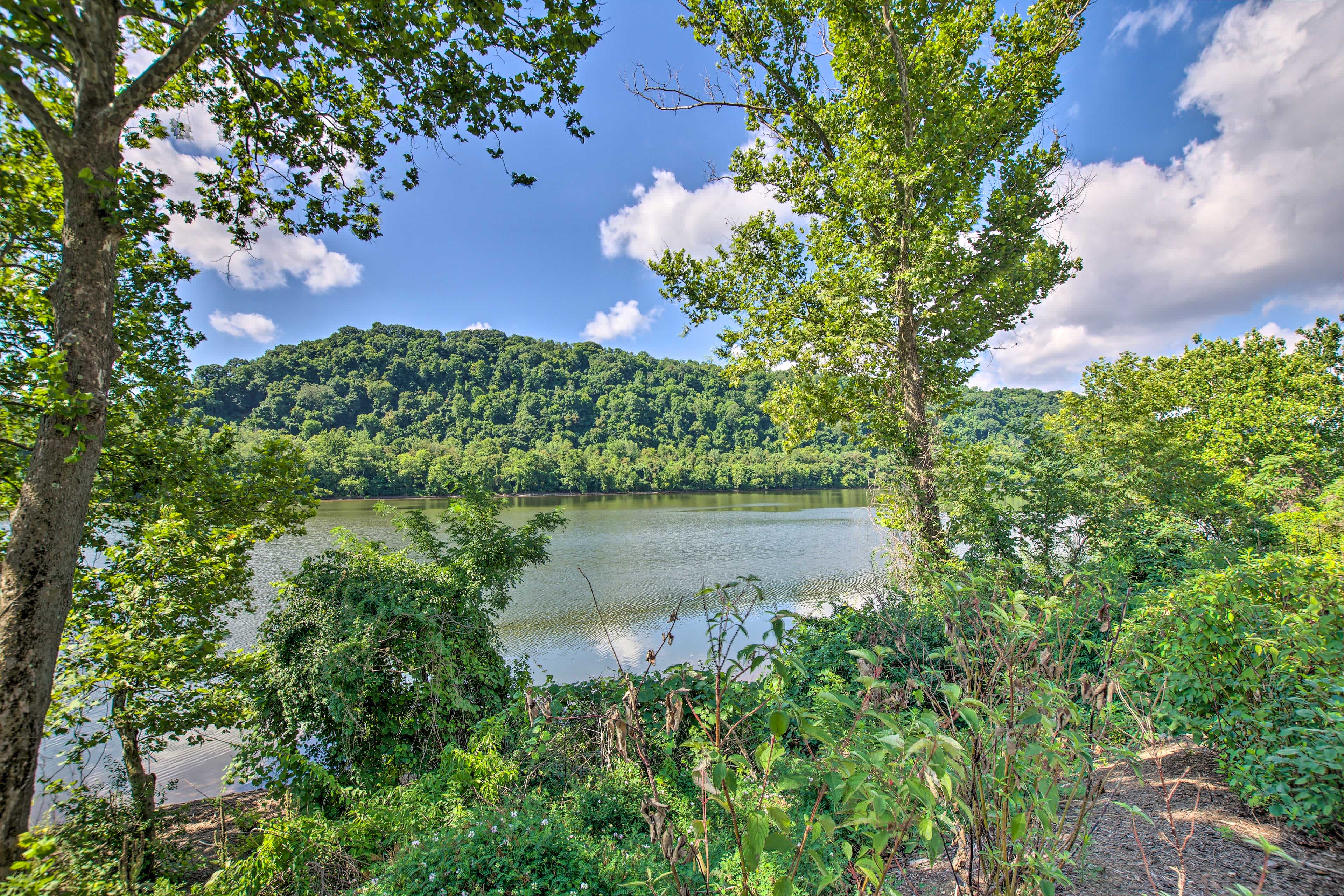 View of a forest with a river in Pittsburgh, PA