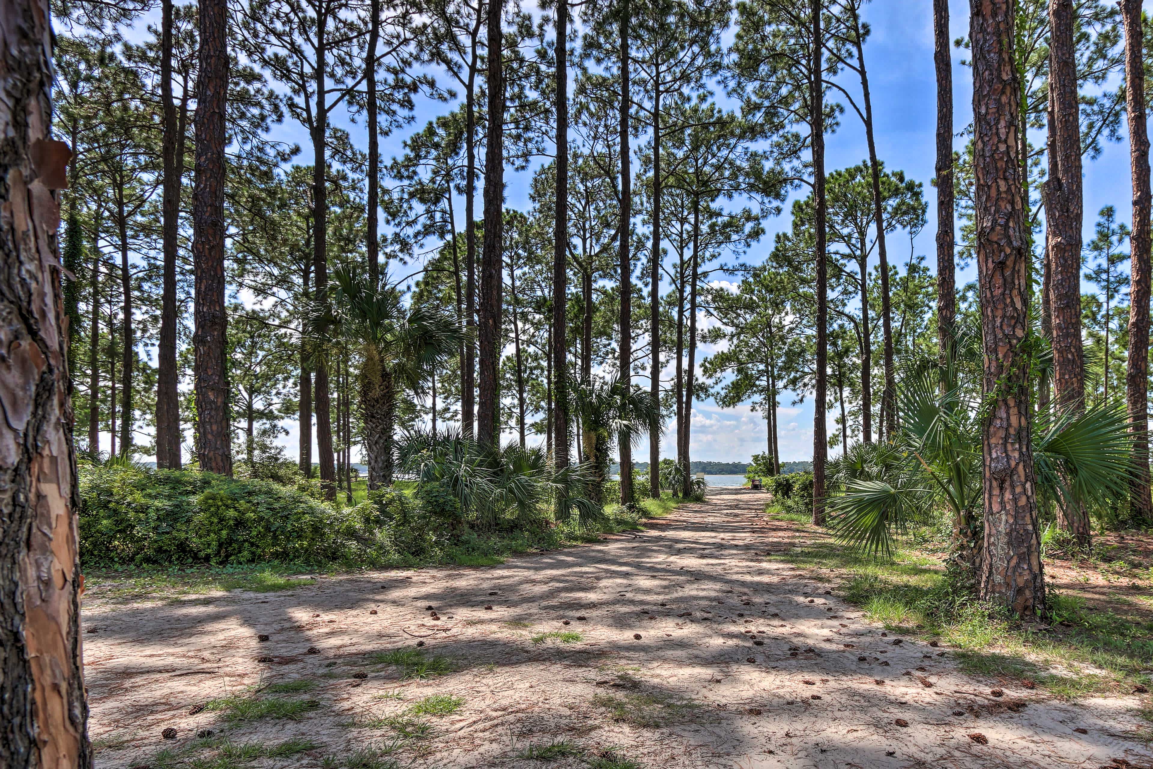 Hilton Head, SC forest path that leads to water in the background