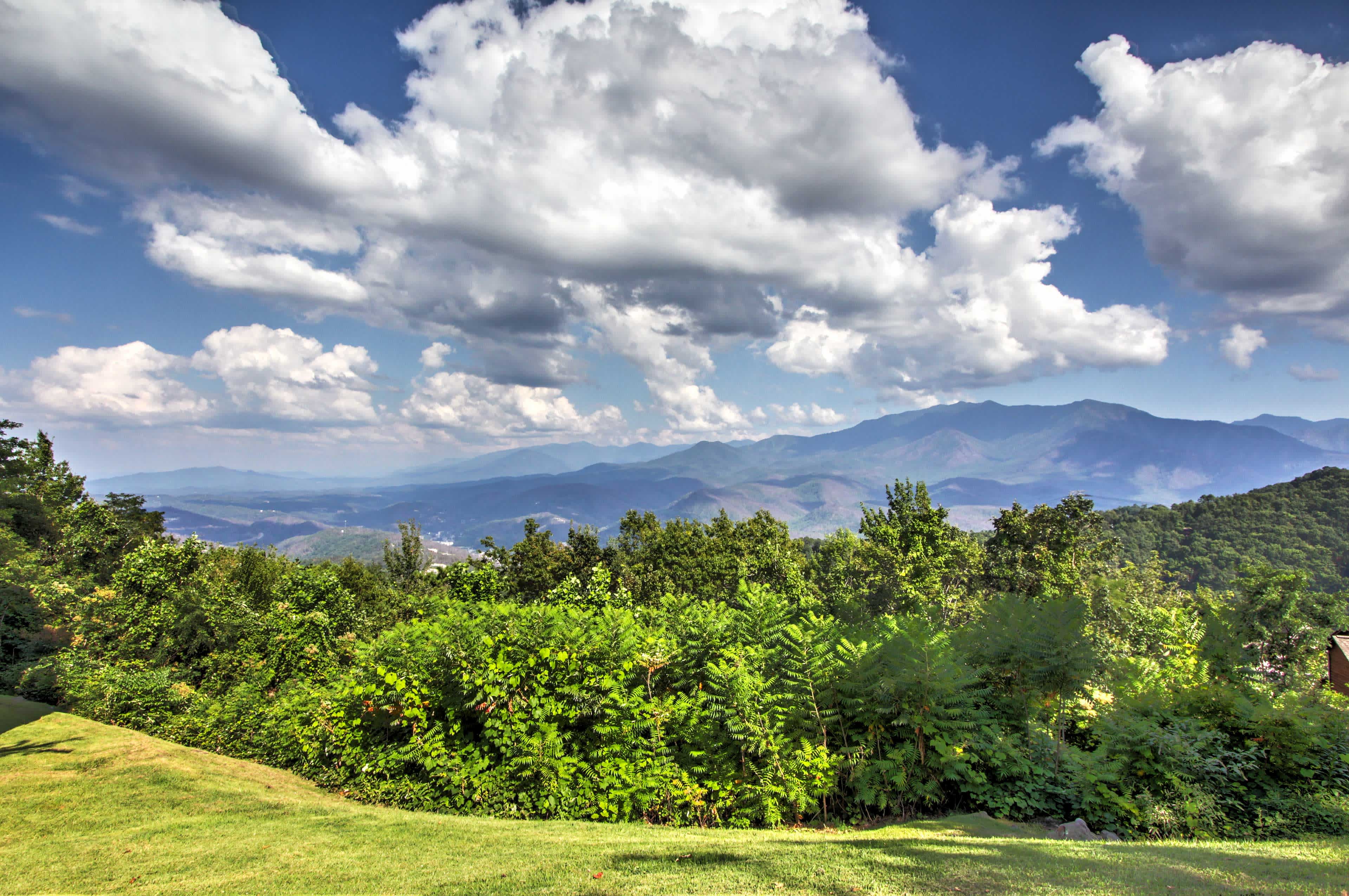 Mountain view with greenery in the foreground in Pigeon Forge, TN