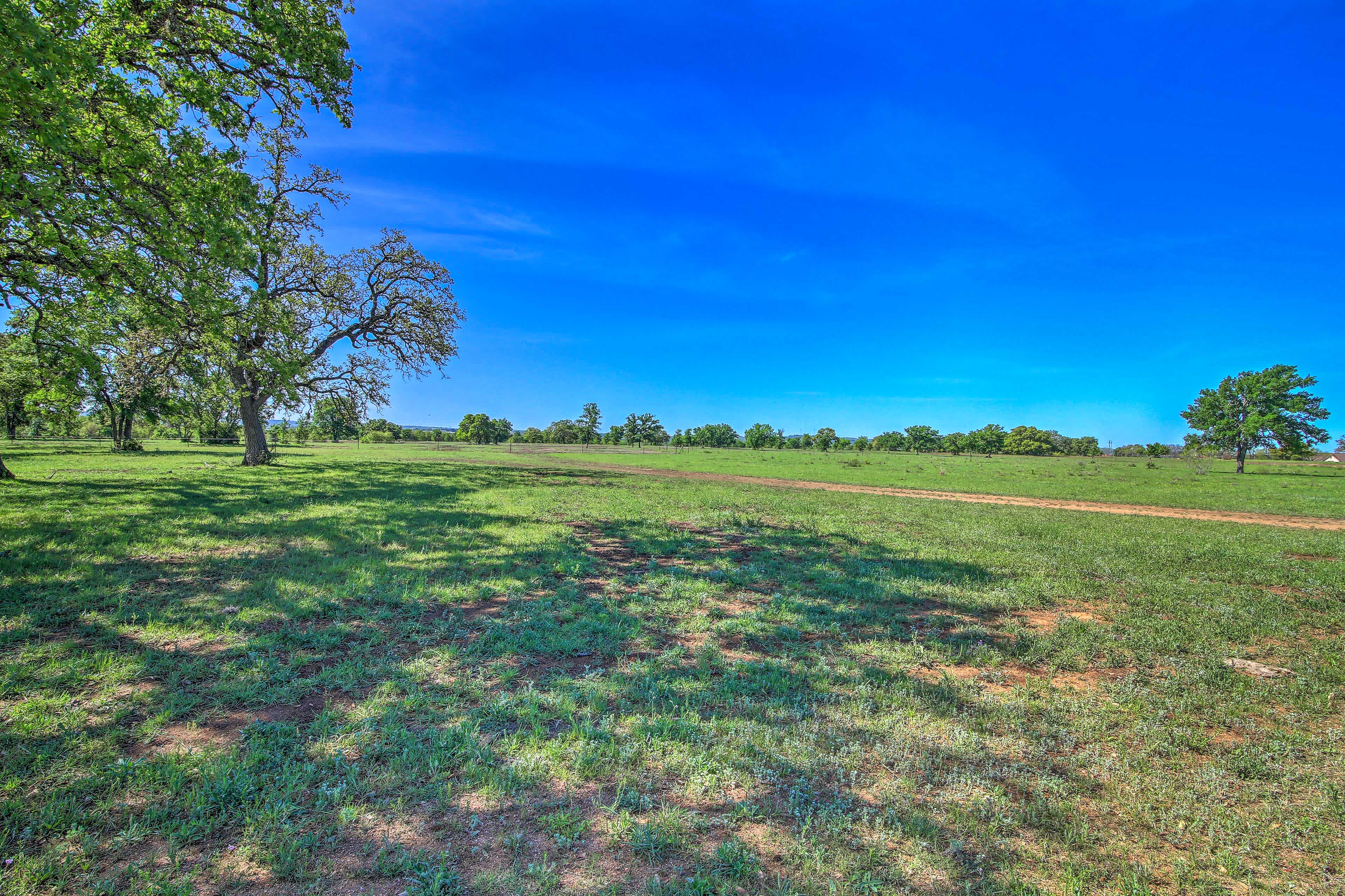 View of a field and blue skies in Fredericksburg, TX