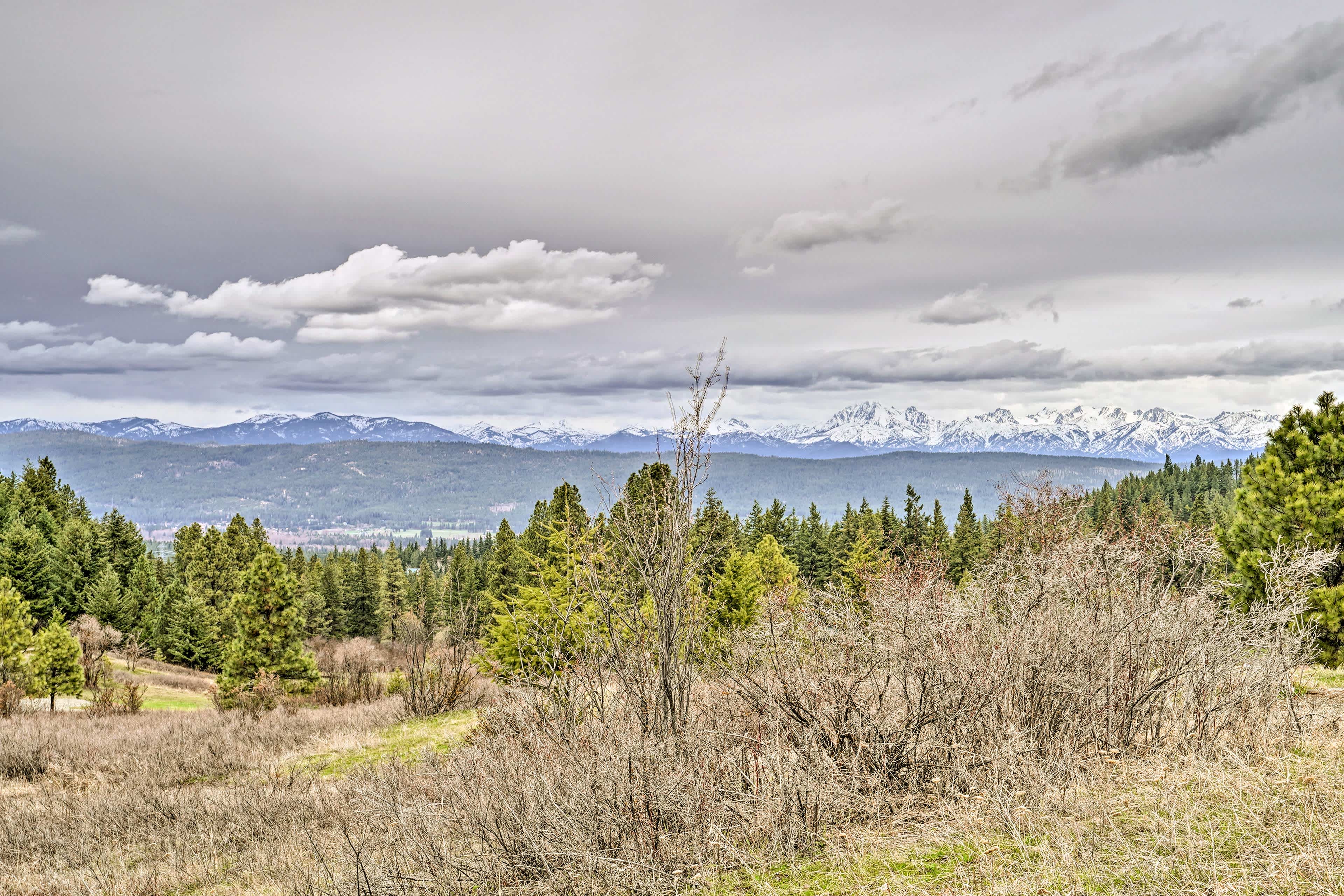 View of Cle Elum, WA snowy mountains in the distance and green forest in the foreground