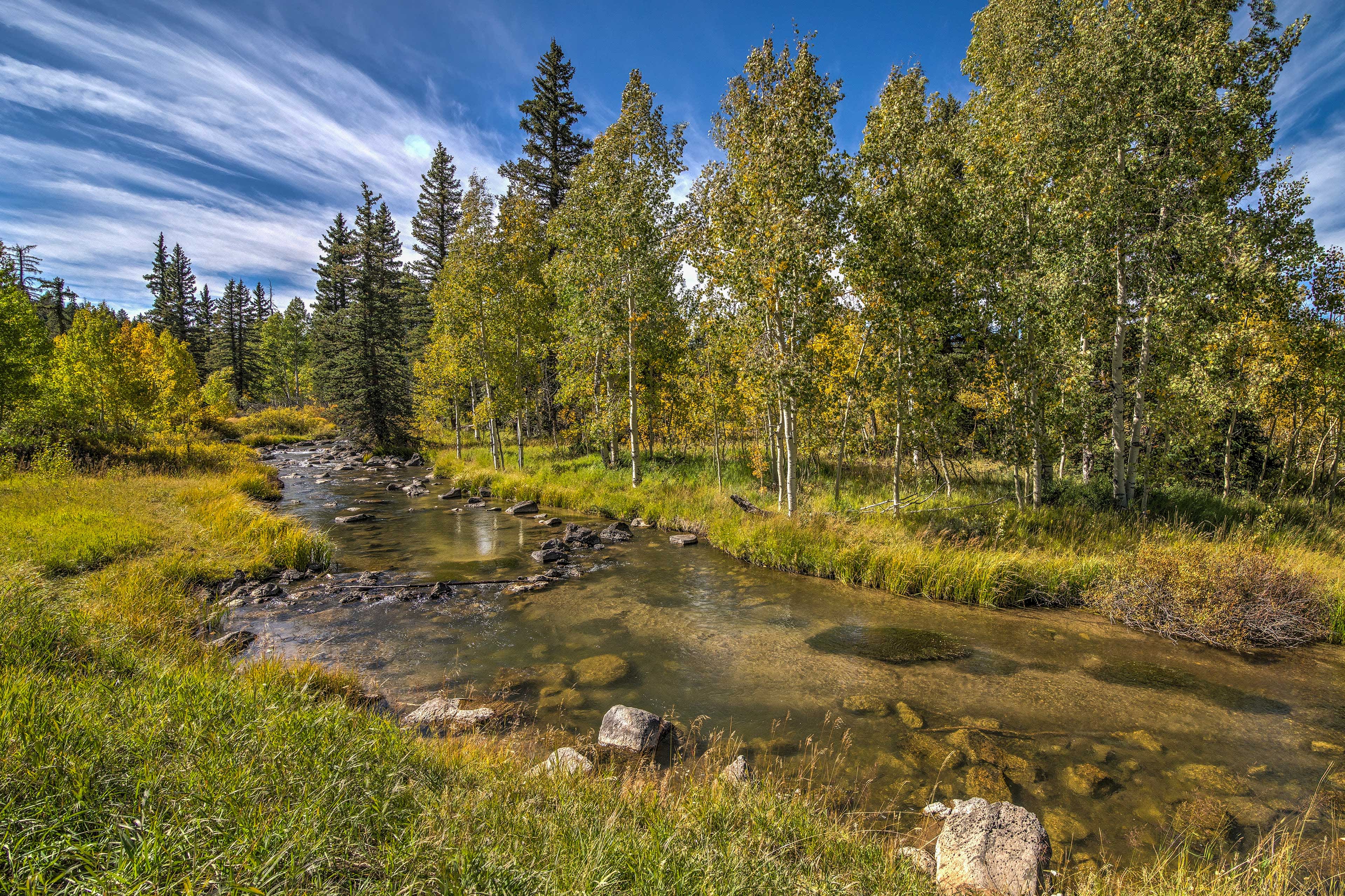 Duck Creek Village