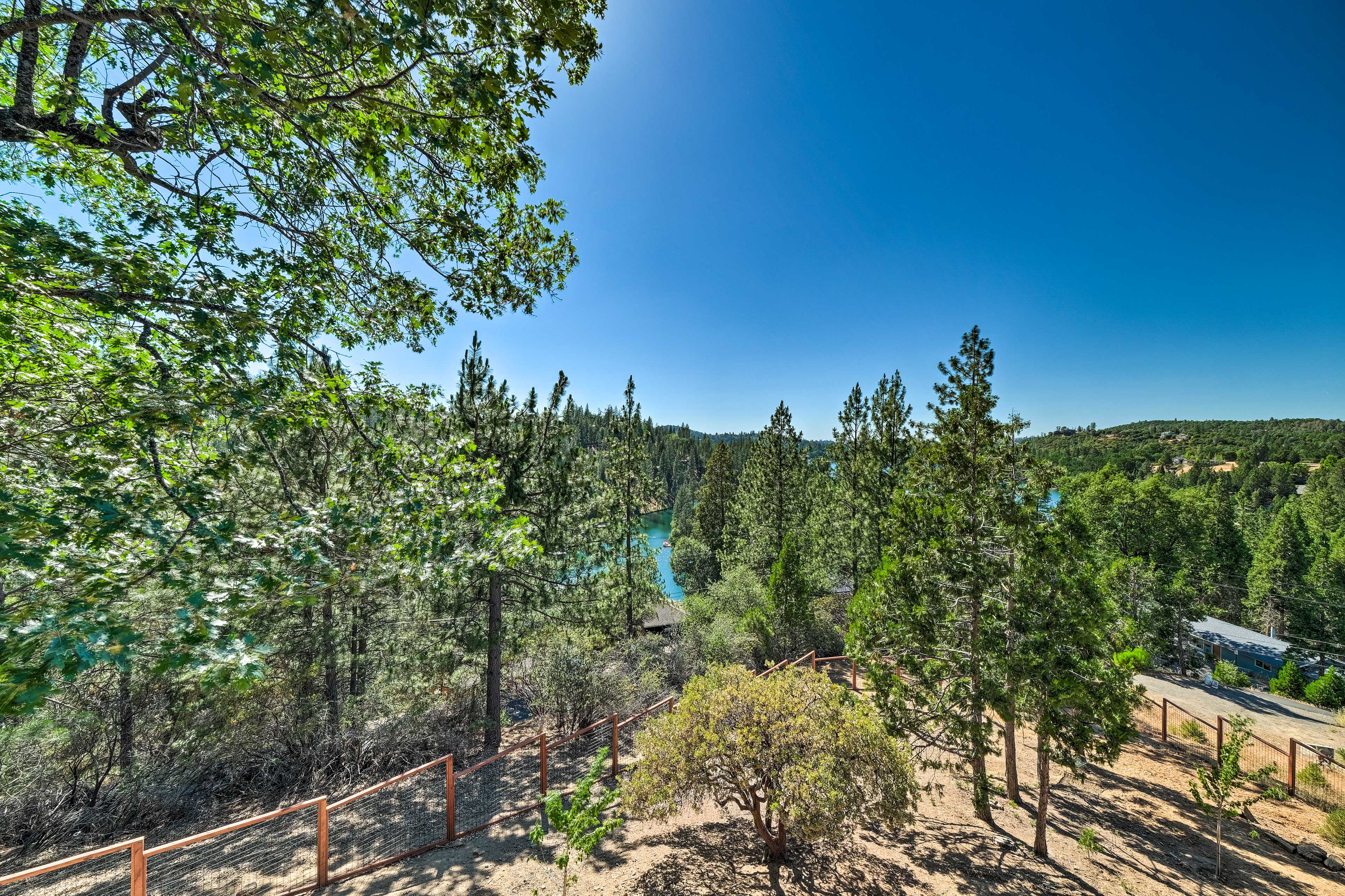View of a forest in Groveland, CA with water showing through the trees and blue skies overhead
