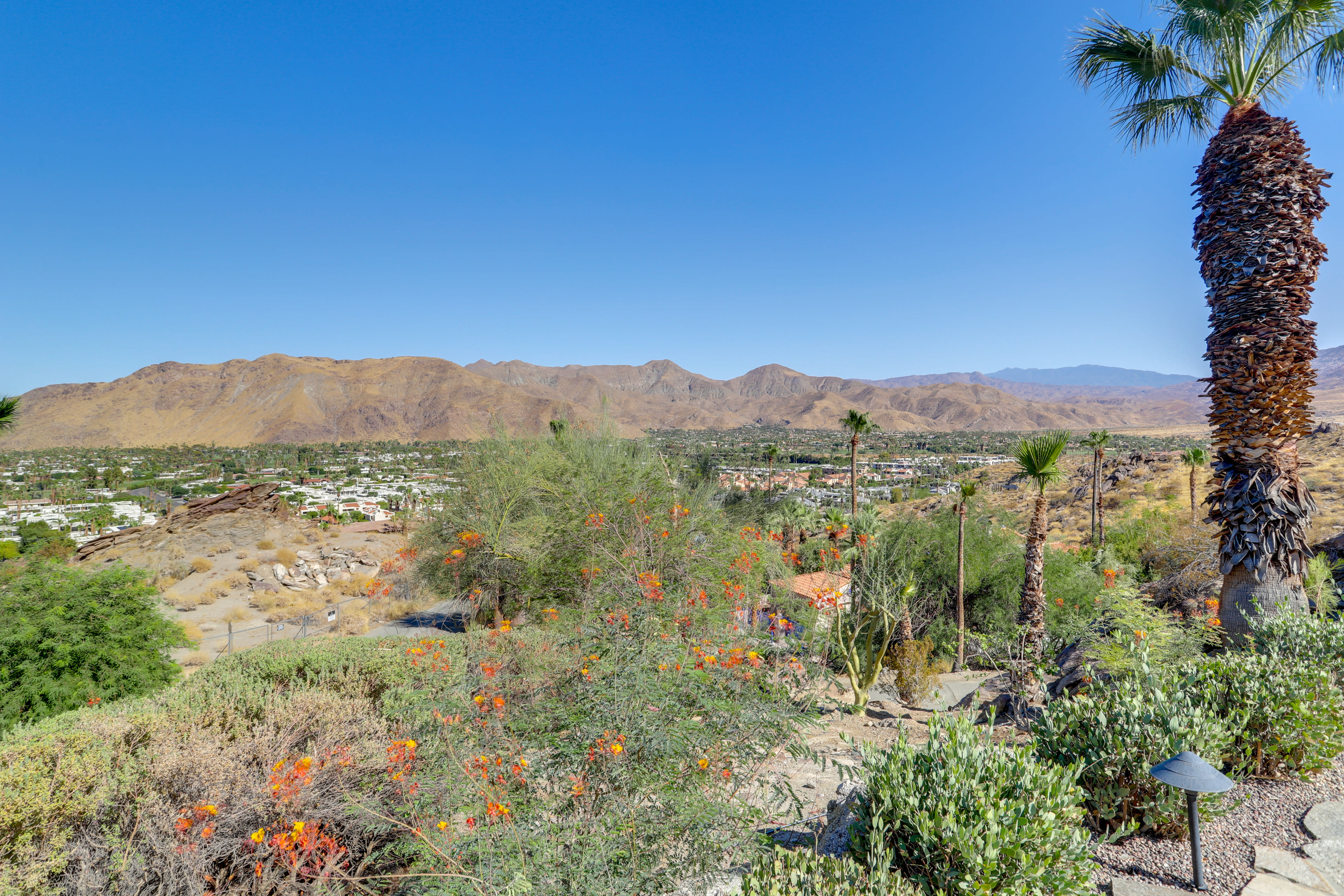 Private Yard | New Desert Landscaping