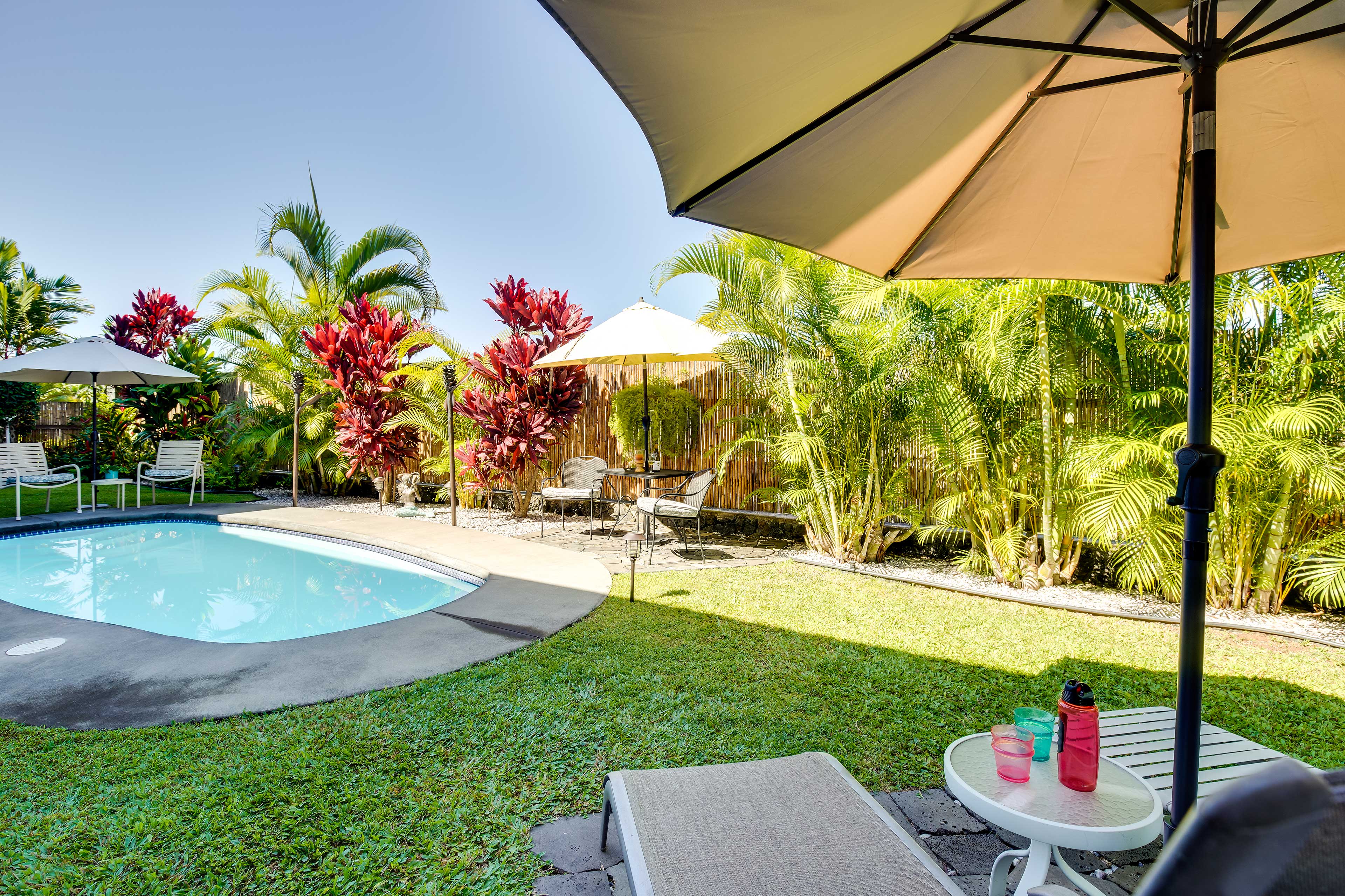 Backyard | Private Outdoor Pool