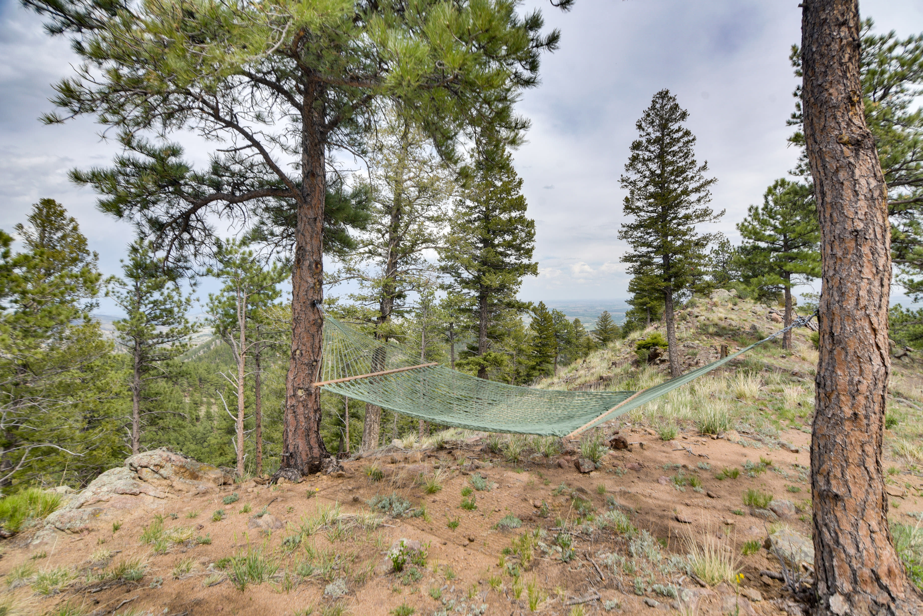 Outdoor Space | Hammock