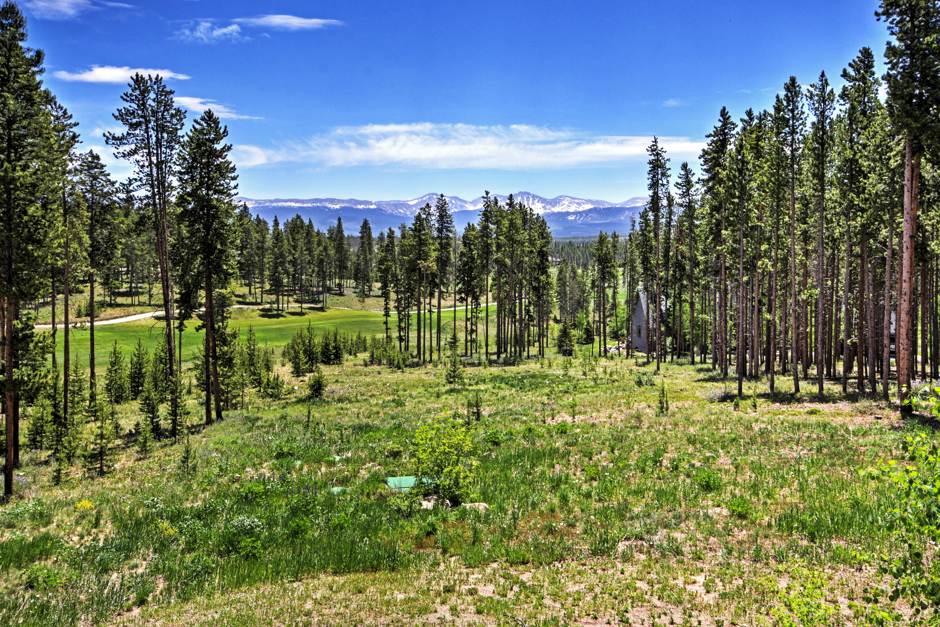 Mountain Views