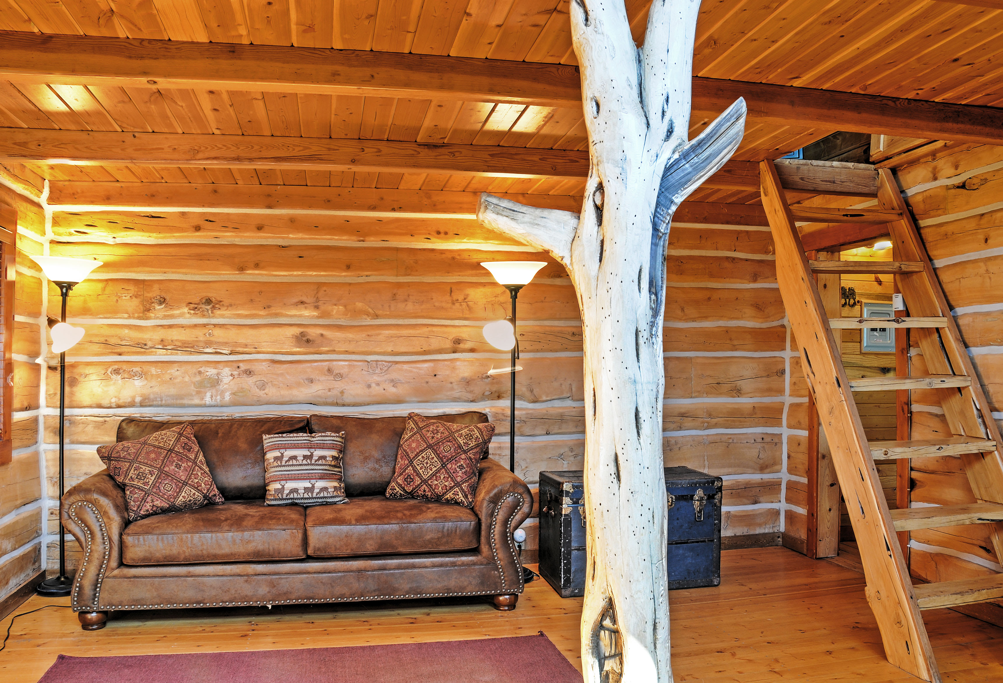 Main Interior Space | DVD Player | Wood-Burning Stove