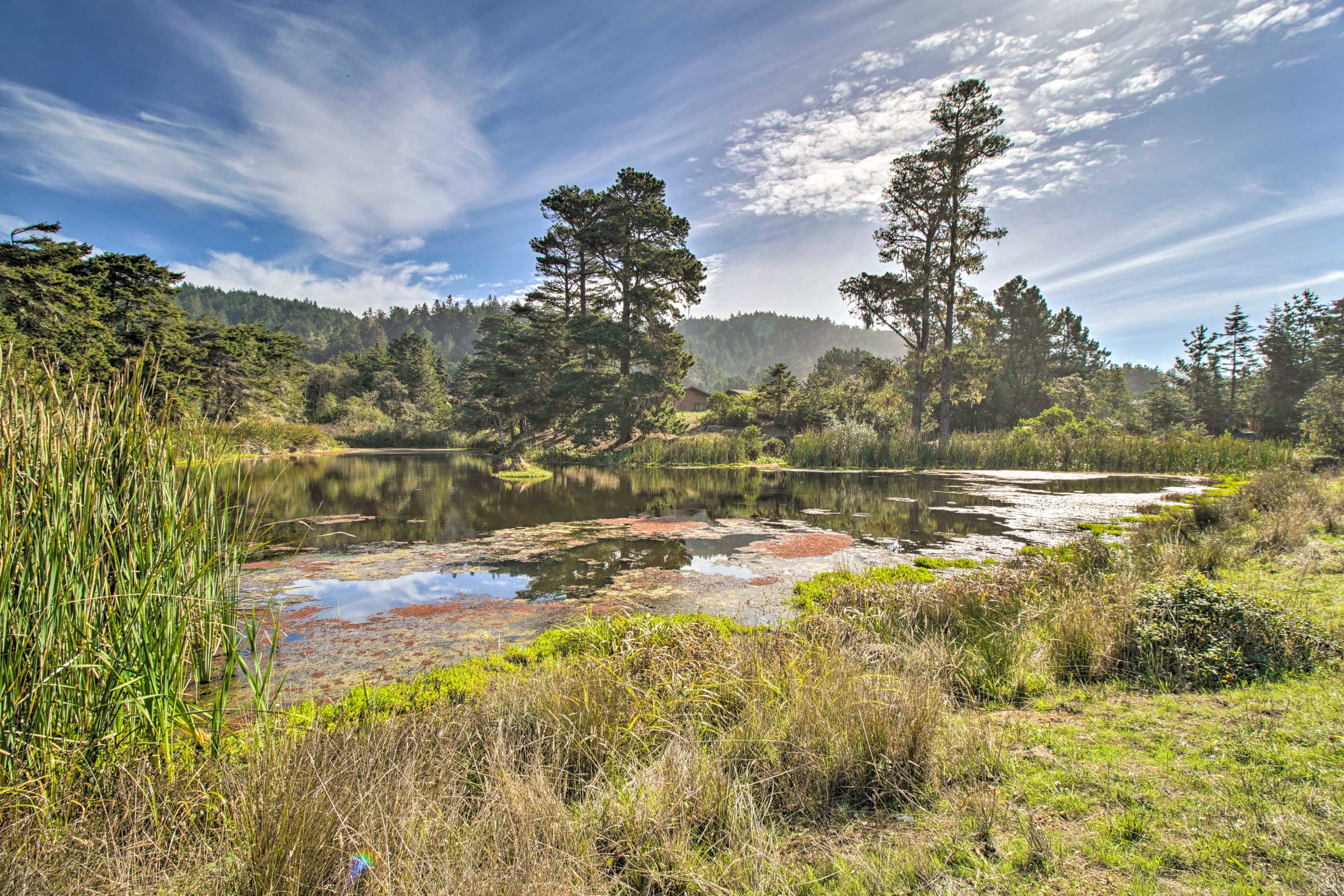 Nearby Lake