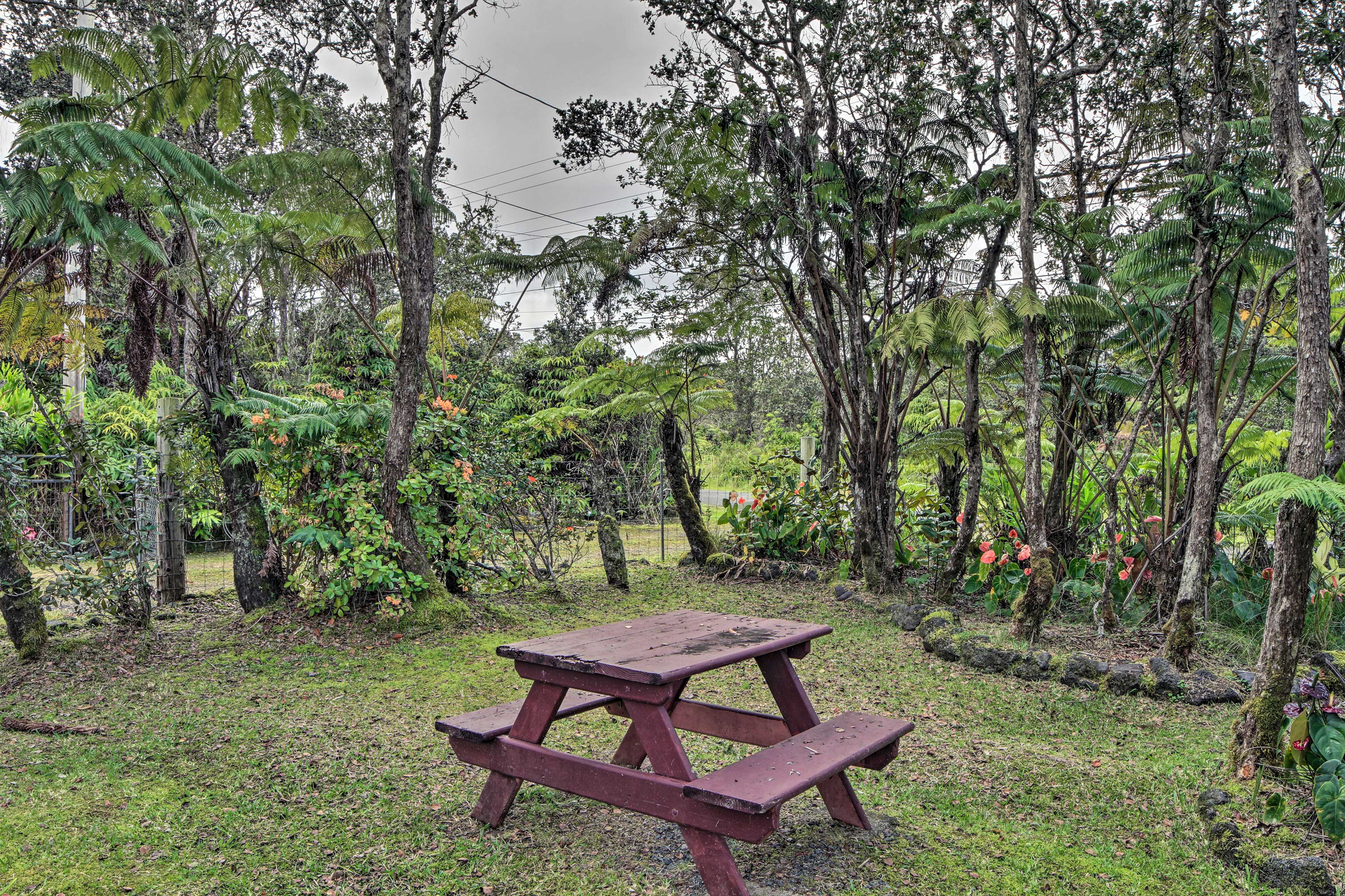 Private Yard | Picnic Area