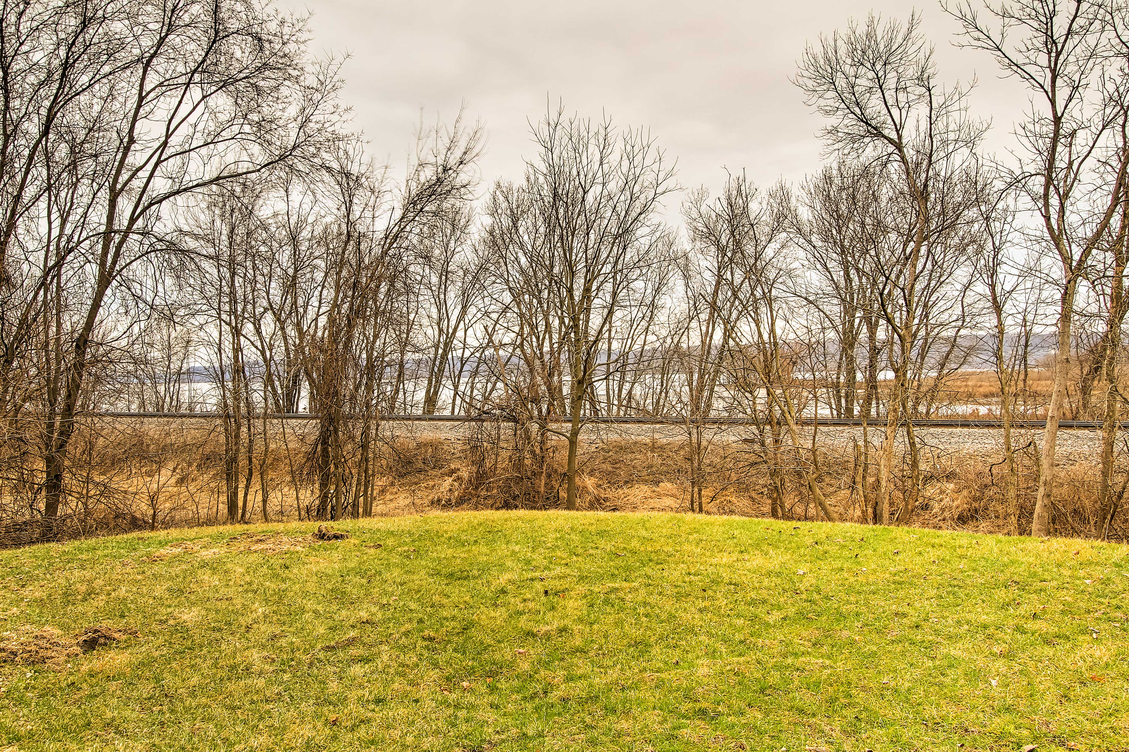 Mississippi River Views