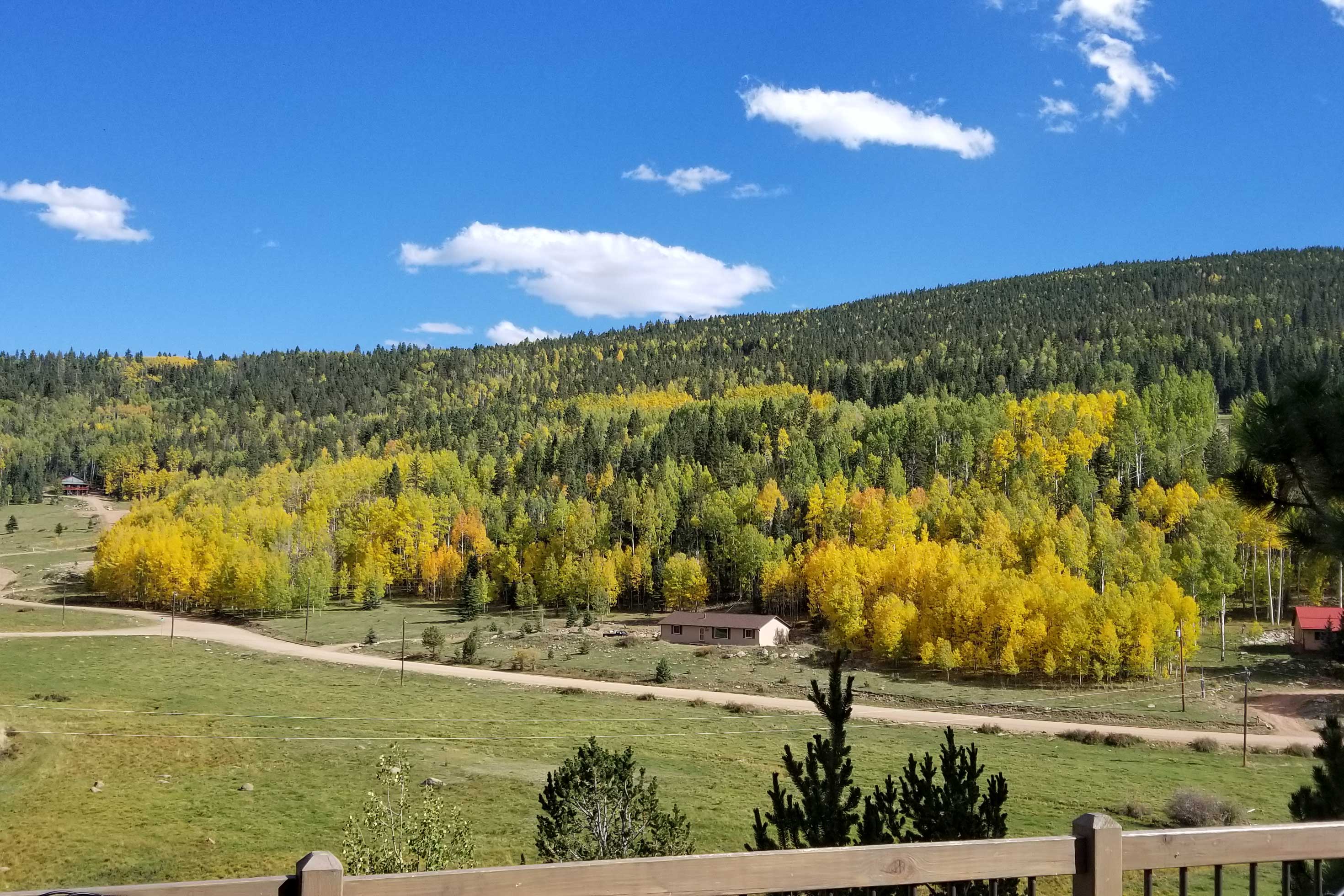 Cabin View