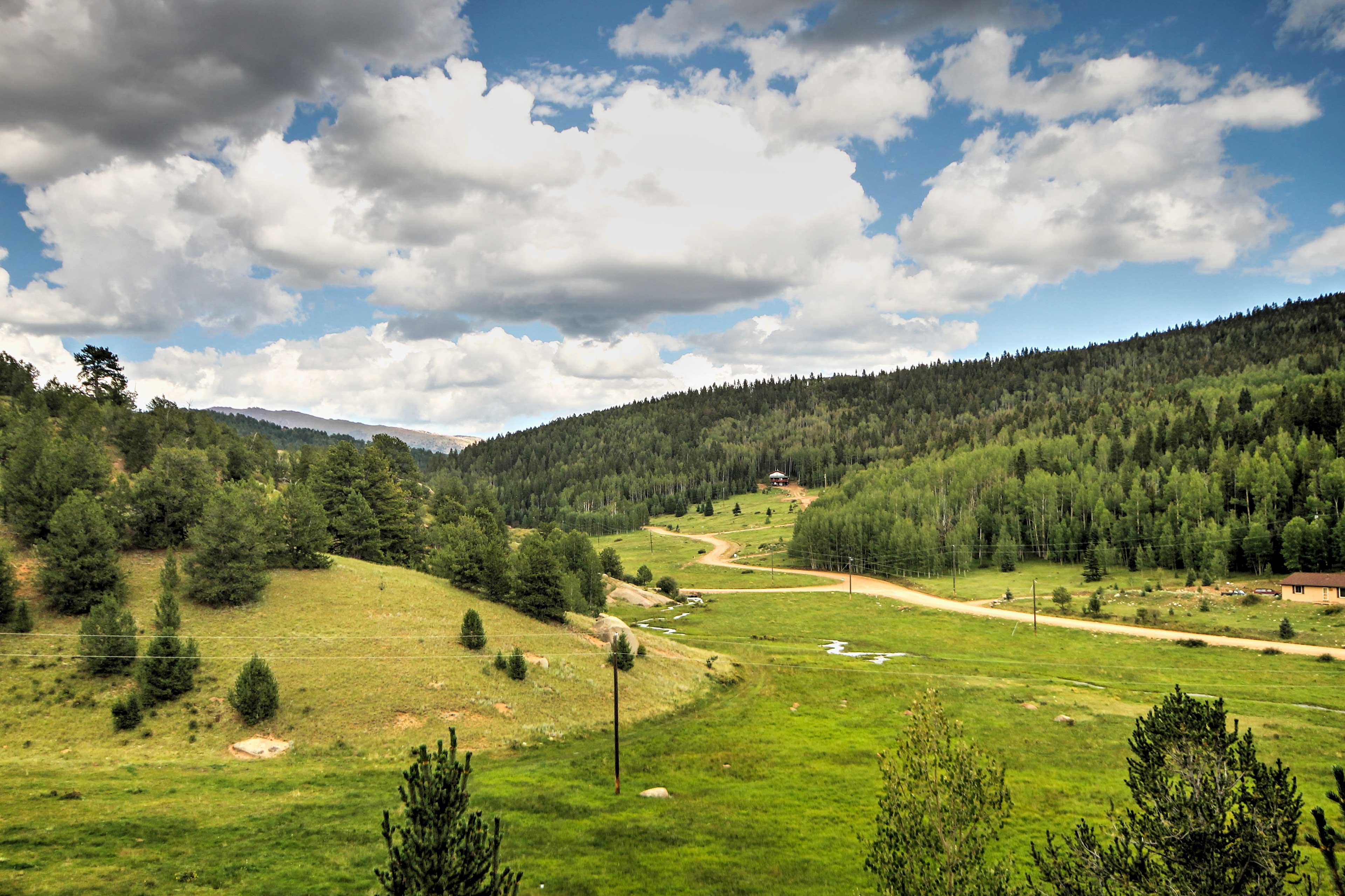 Cabin View