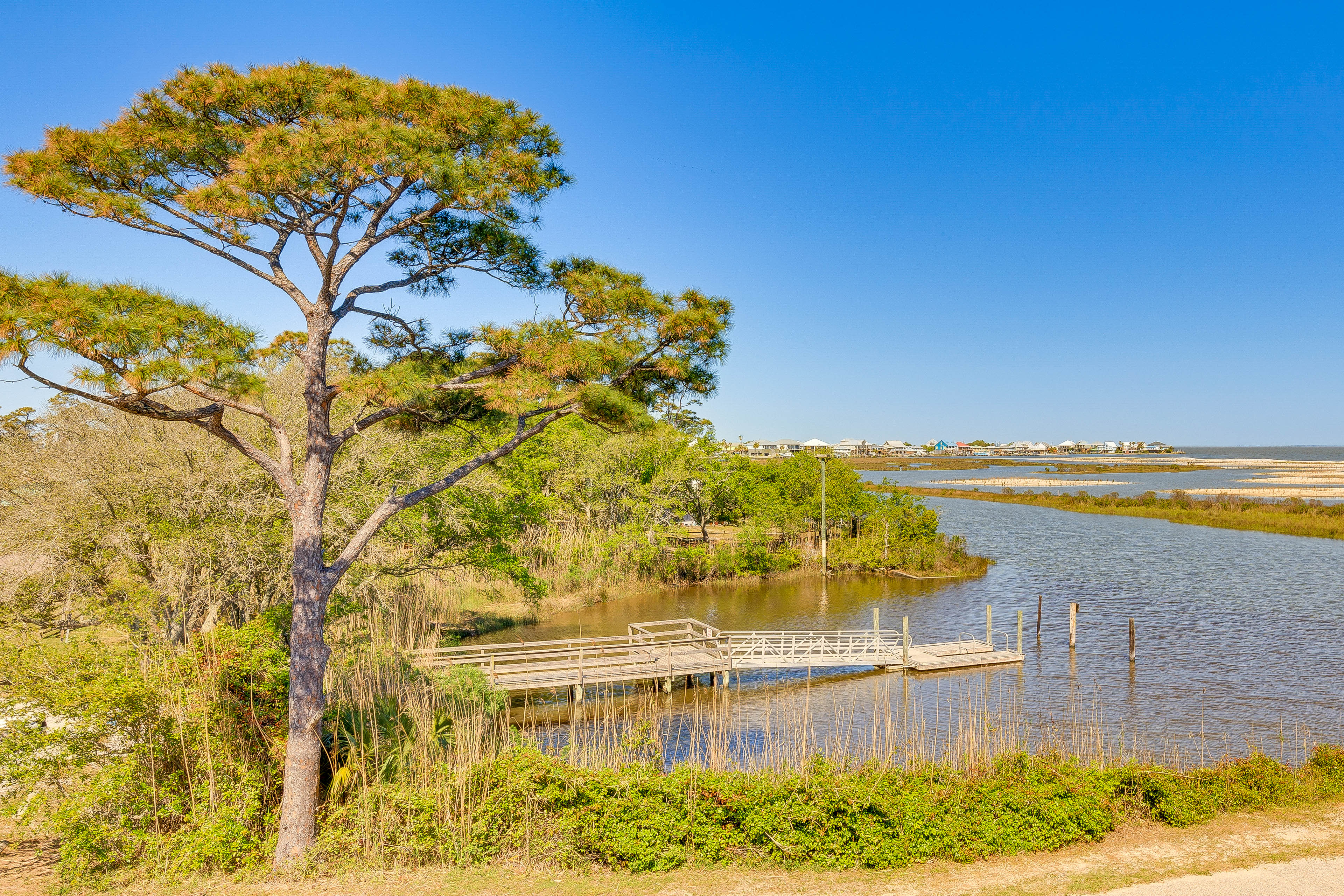 Views of Mississippi River & Gulf of Mexico