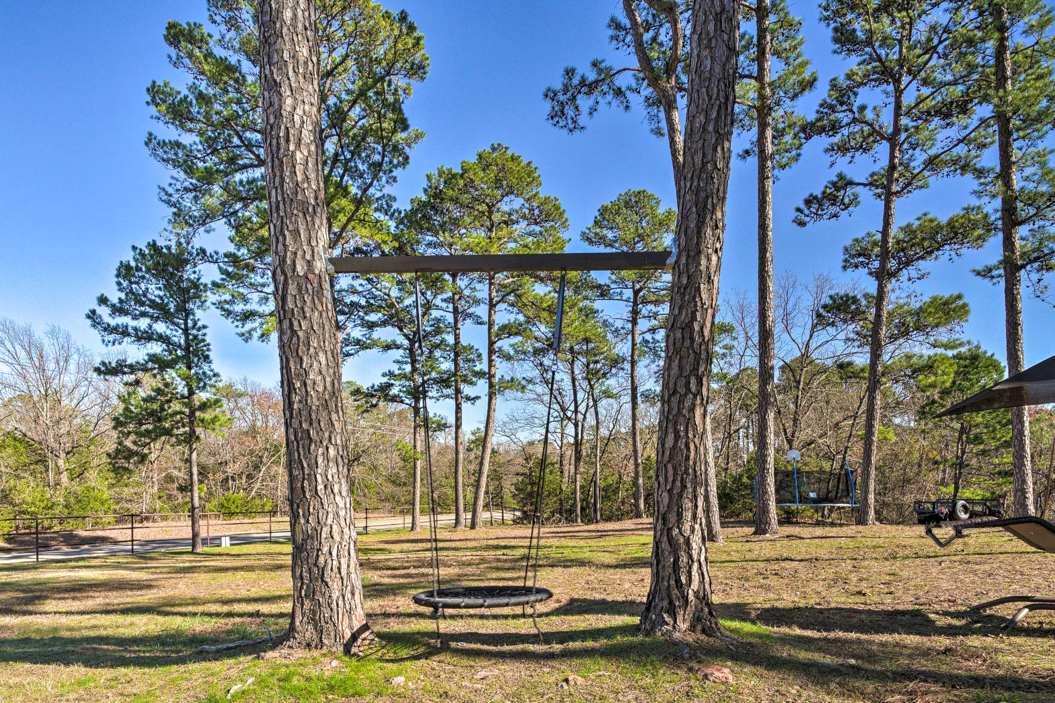 Spacious Yard | Tree Swing