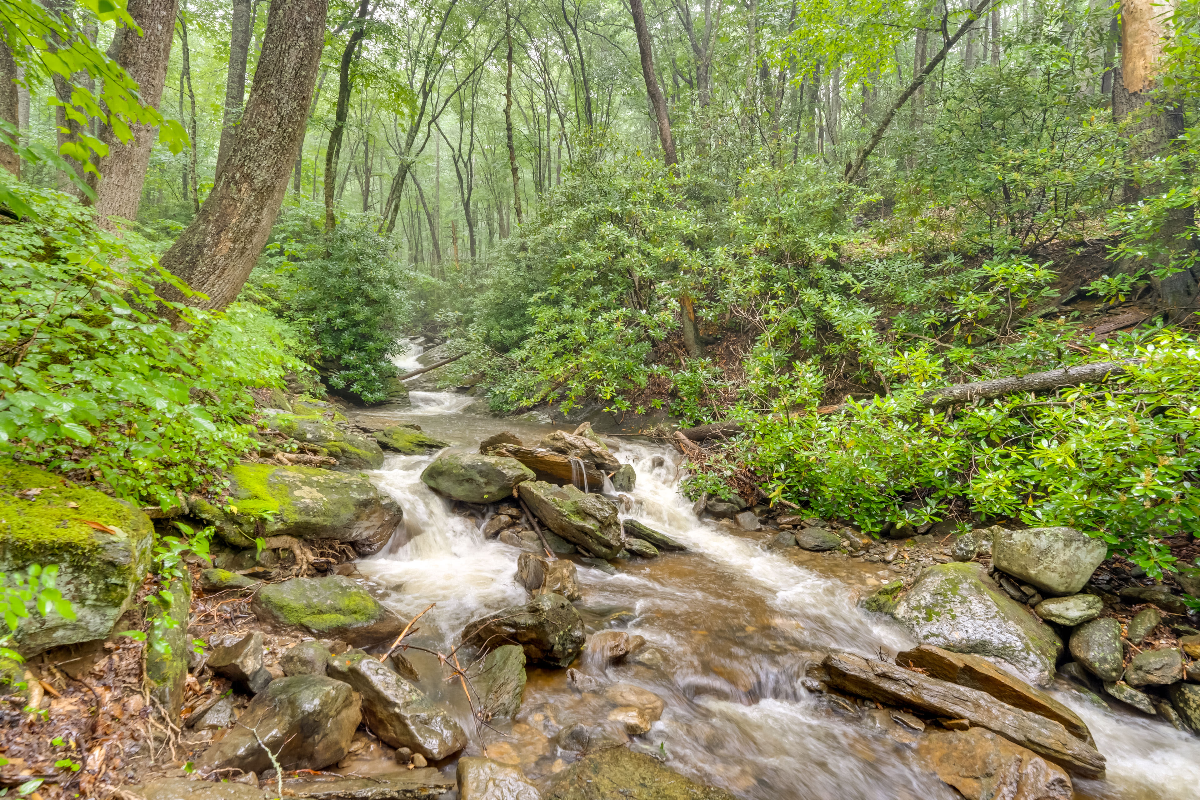 Nearby Waterfall