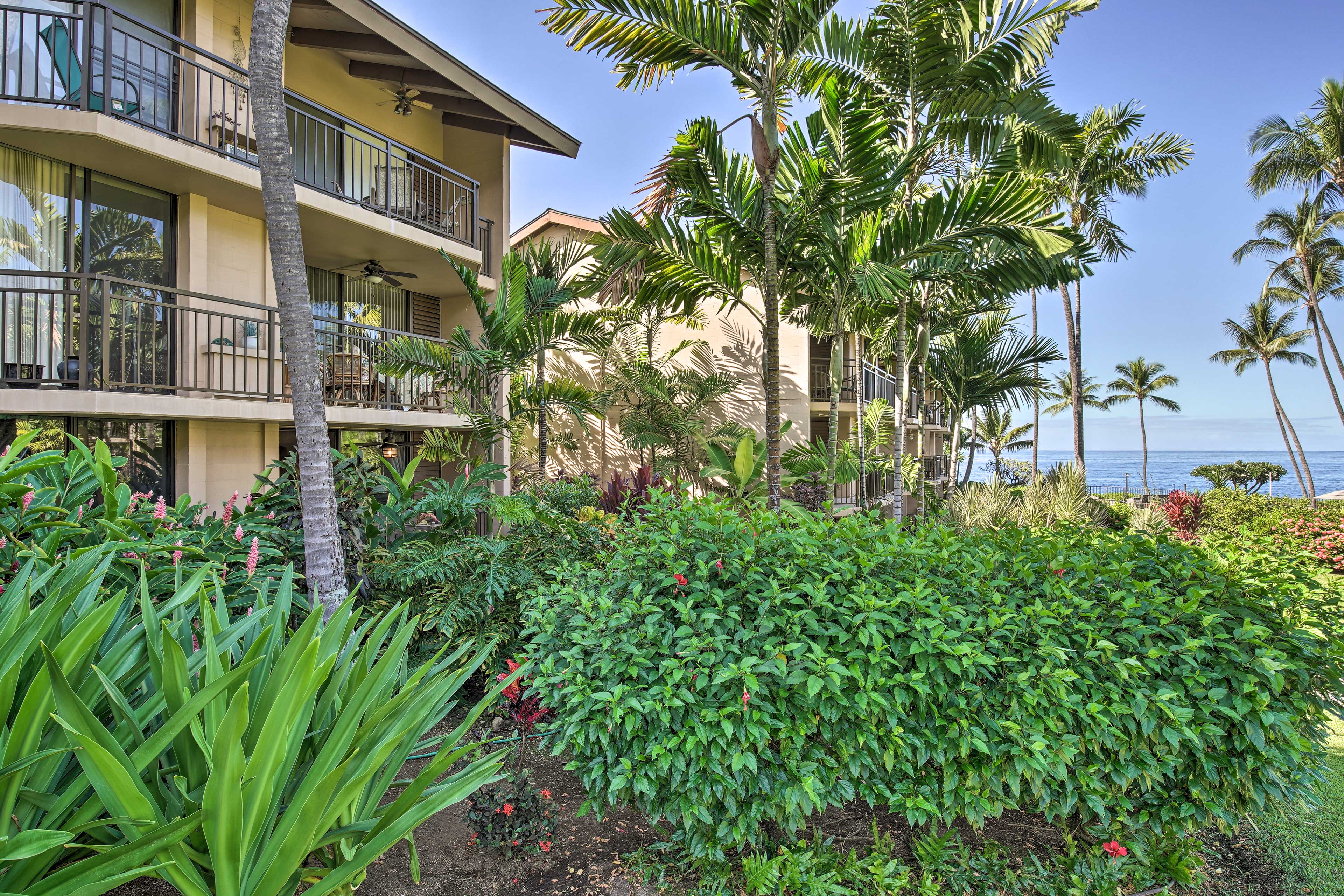 Oceanfront Condo Complex