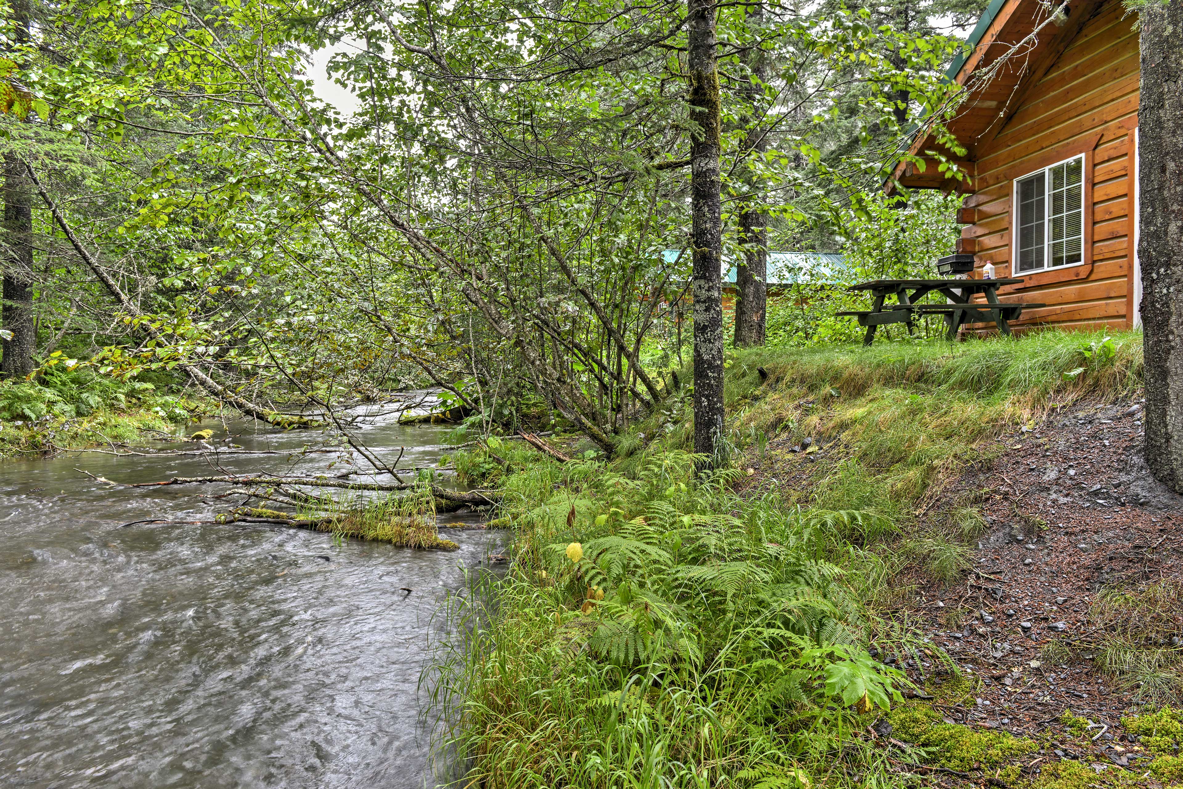 On-Site Creek | Alaskan Salmon Fishing