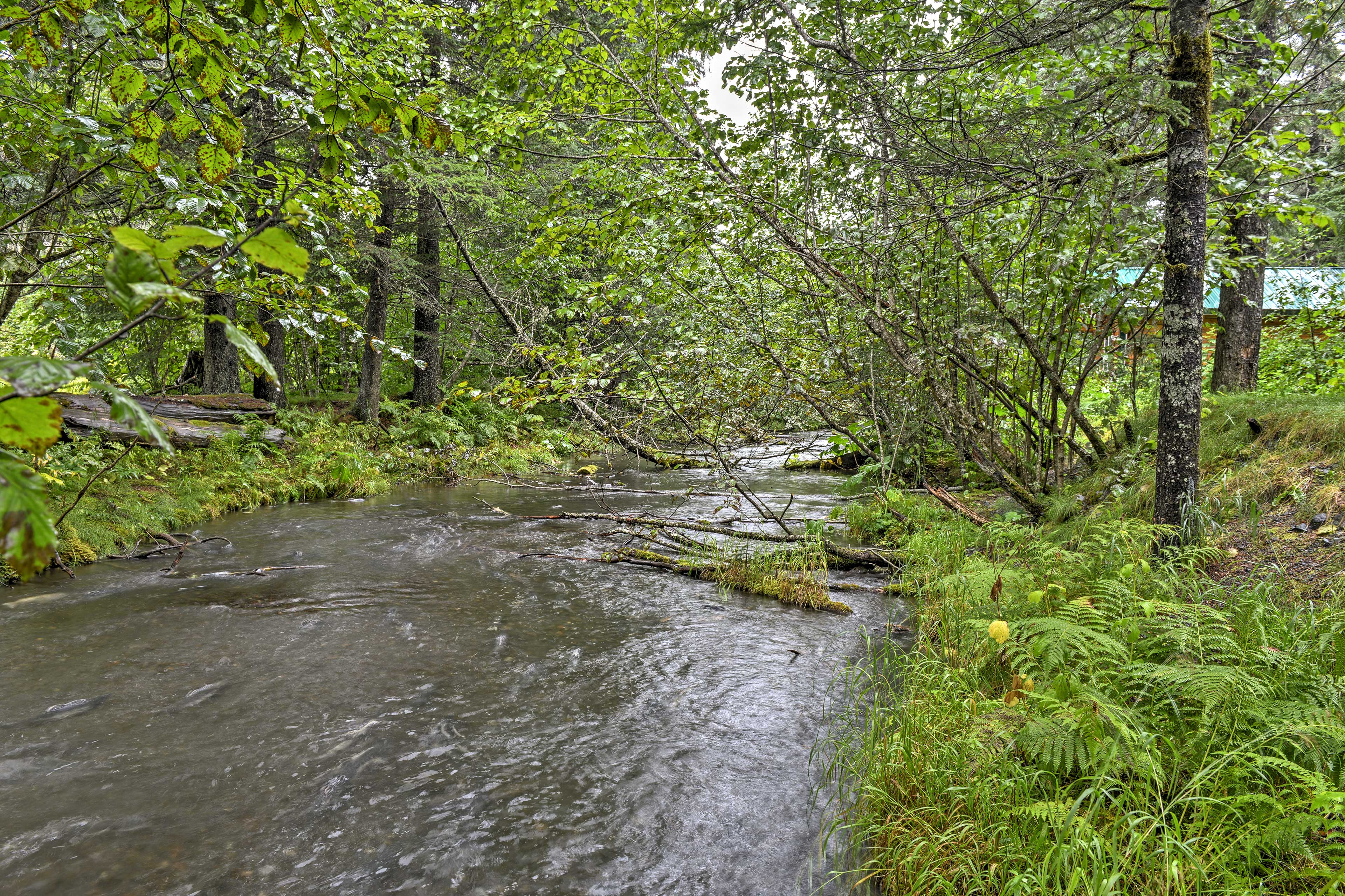 On-Site Creek