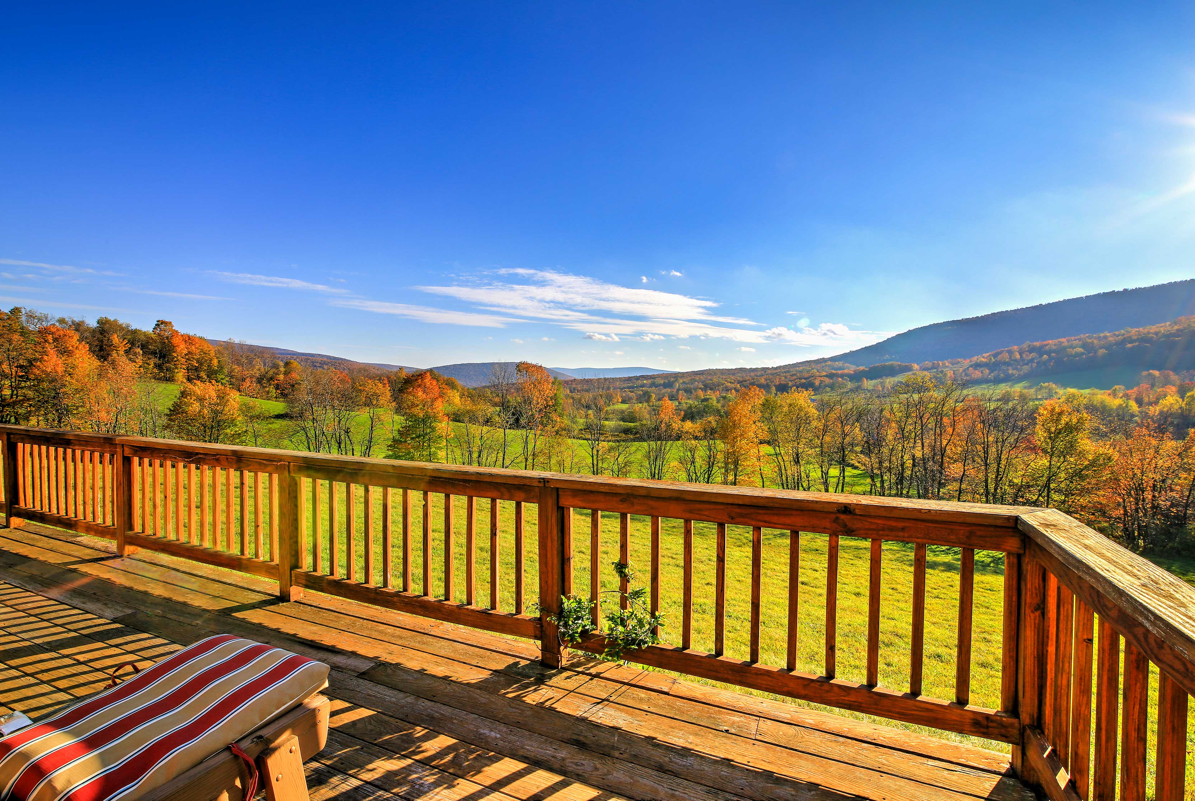 Private Deck | 125 Acres | Limited Cell Phone Service