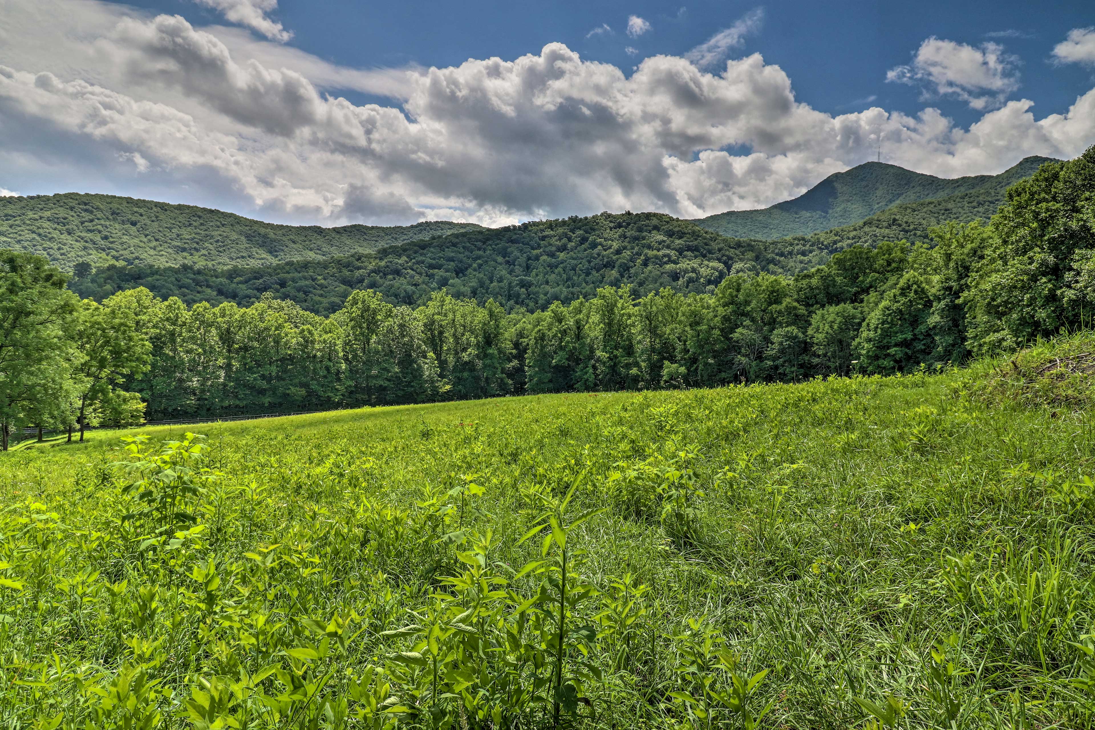 Mount Pisgah Views