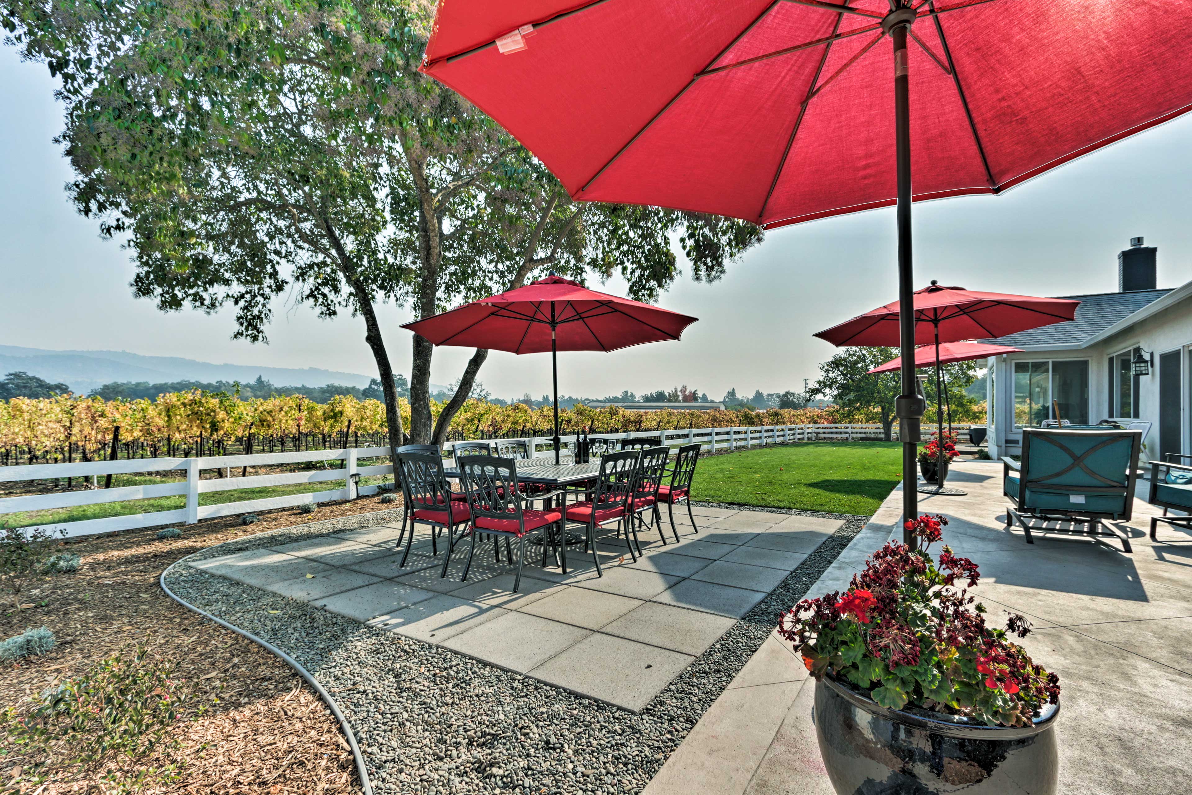 Patio | Outdoor Dining | Vineyard Views