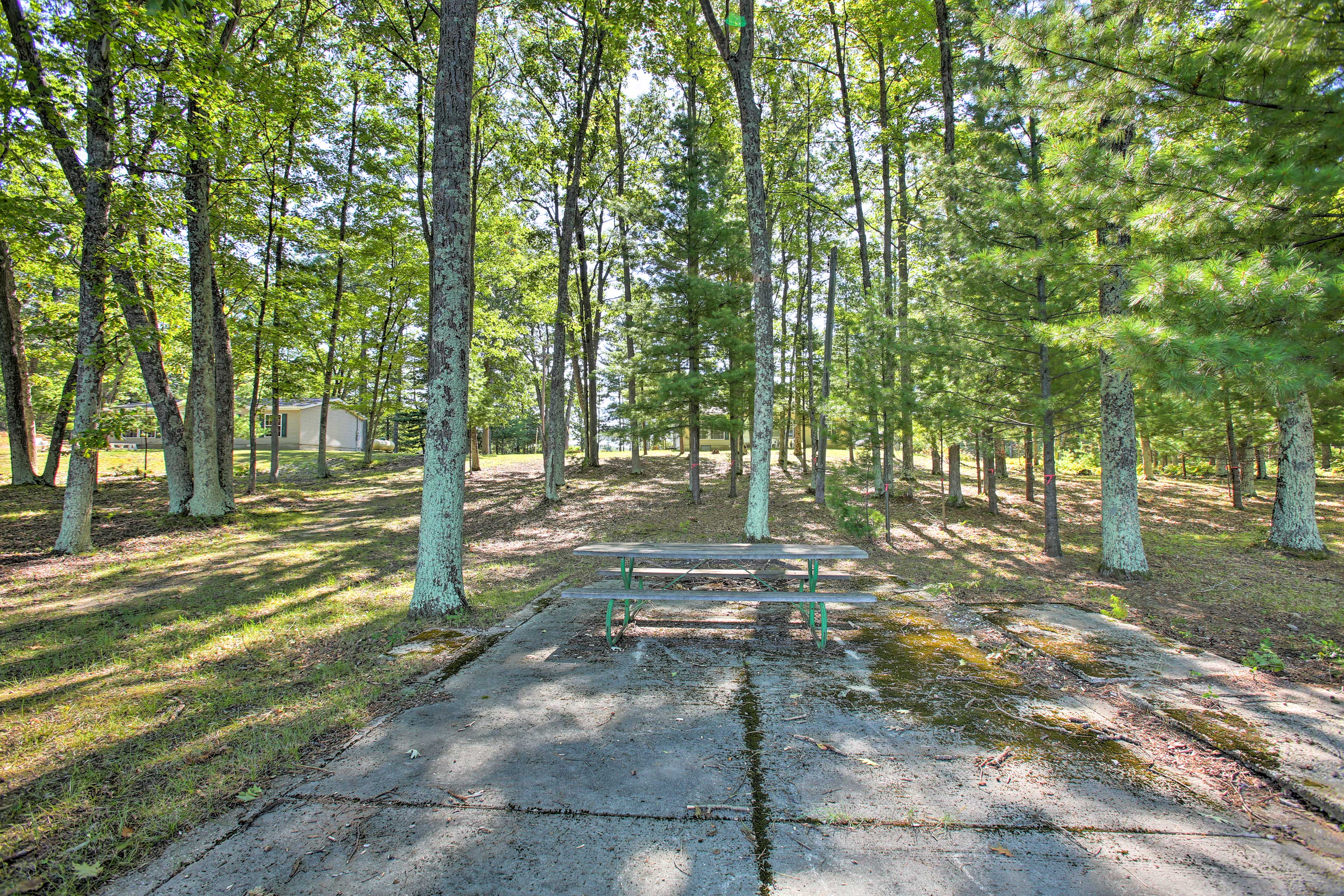 Forest Scenery | Picnic Table