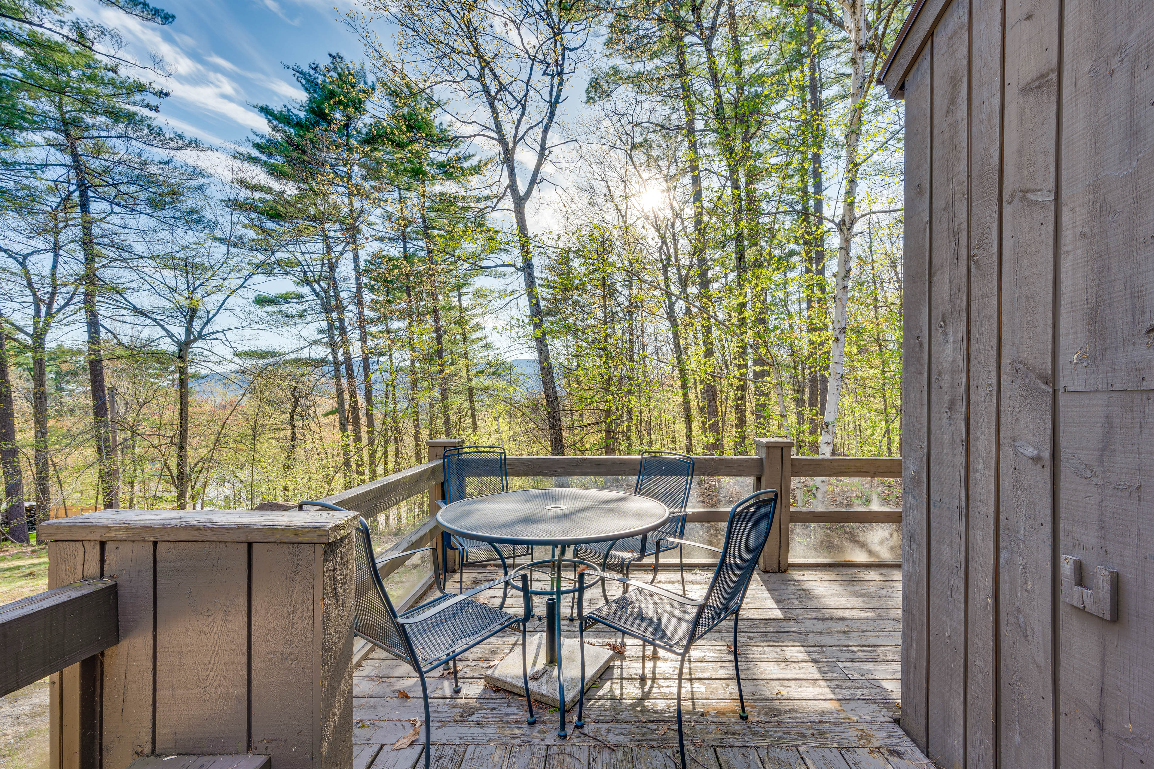 Private Deck | Gas Grill | Forest/Mountain Views