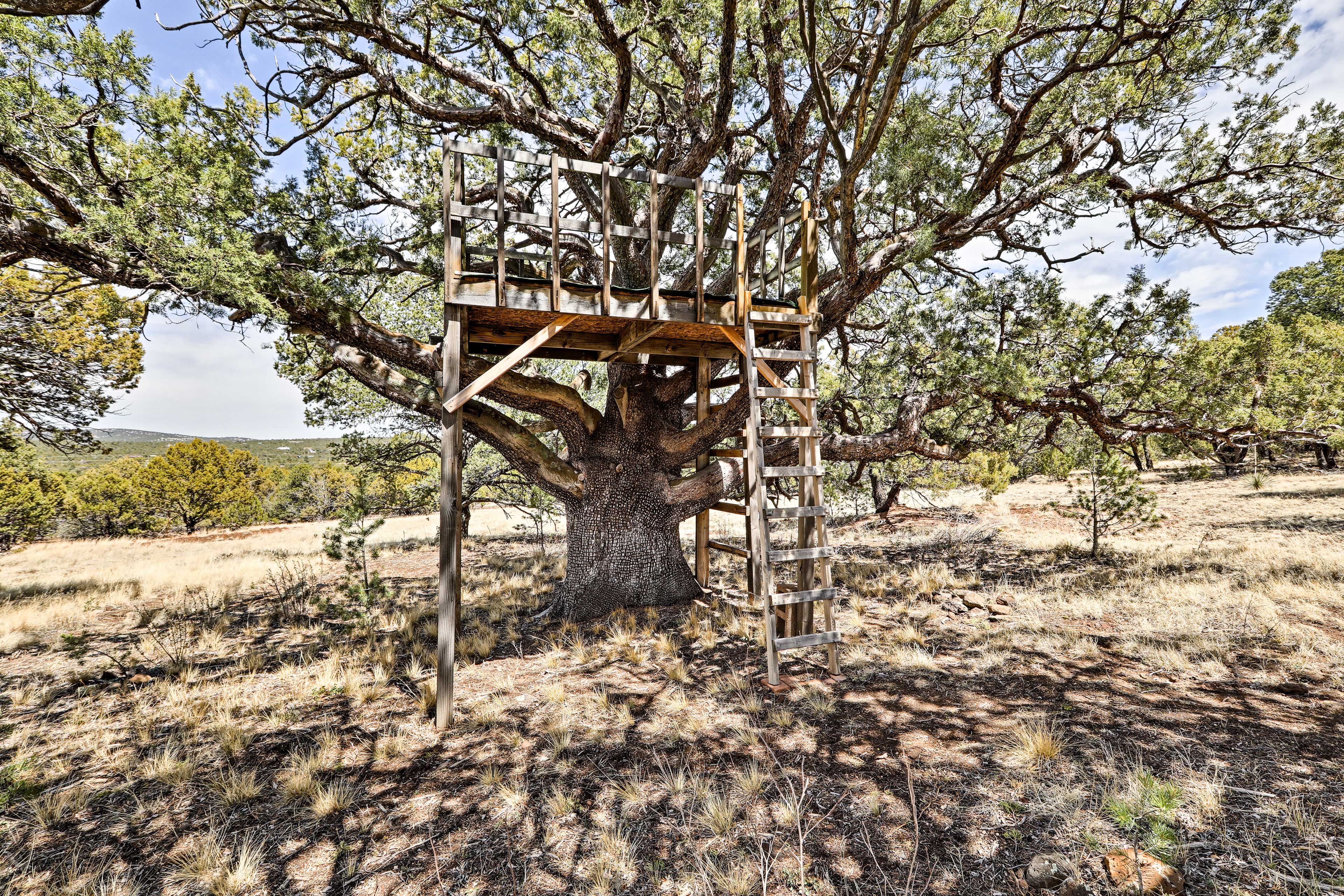 Cabin Exterior | Treehouse