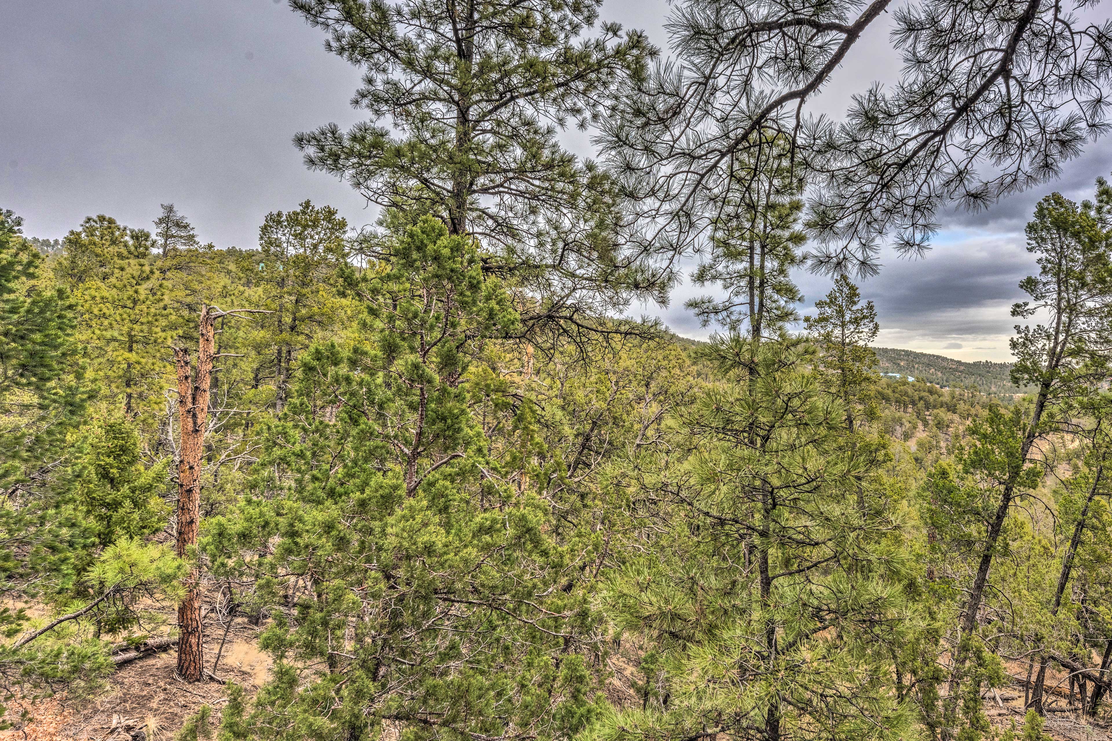 Private Back Deck | Mountain Views