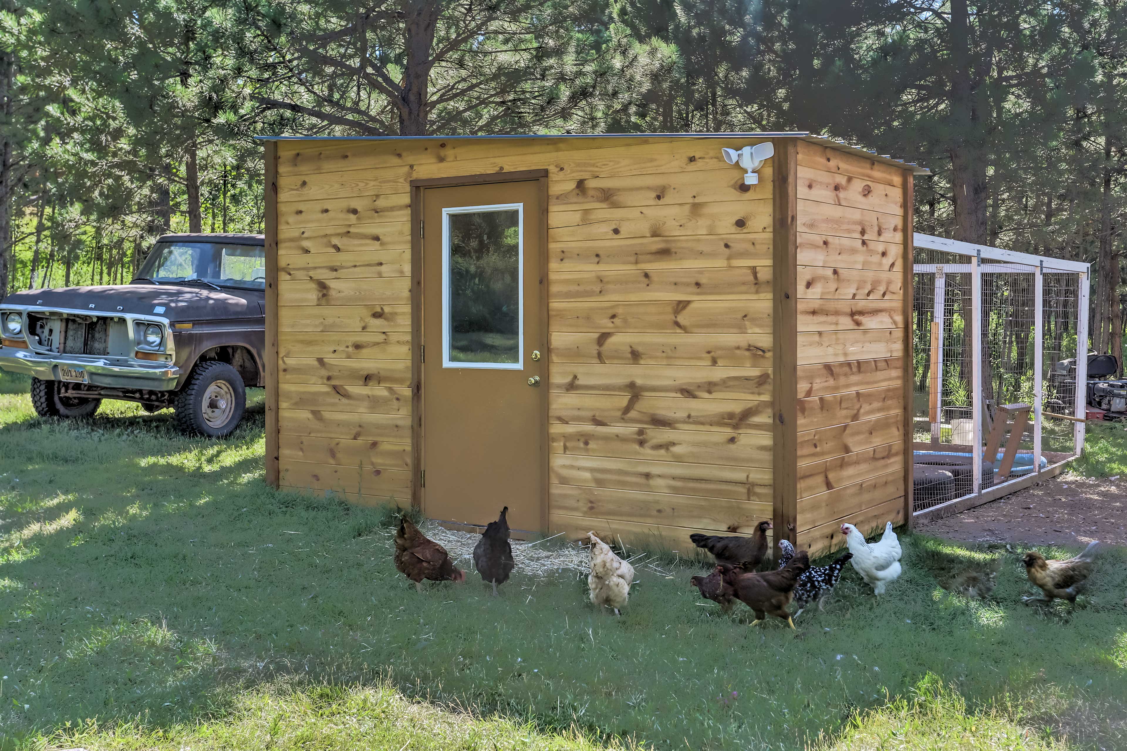 Chicken Coop