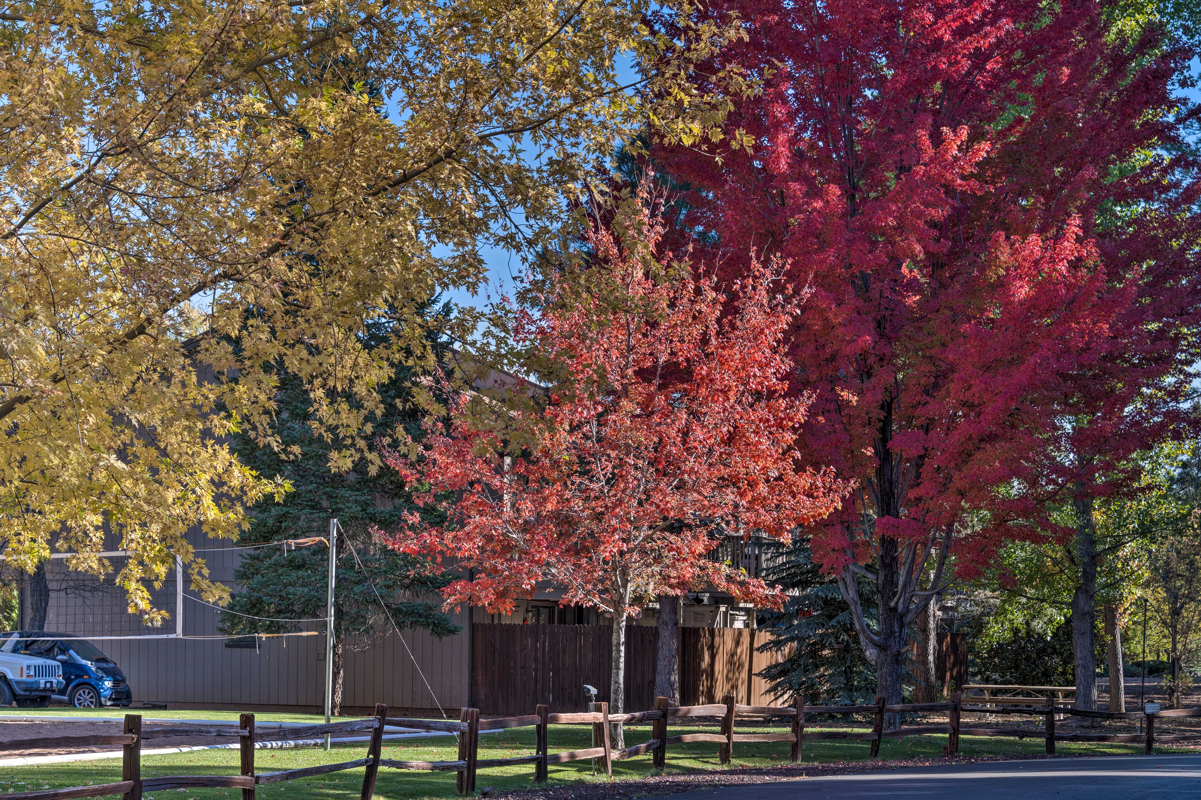 Townhome Exterior