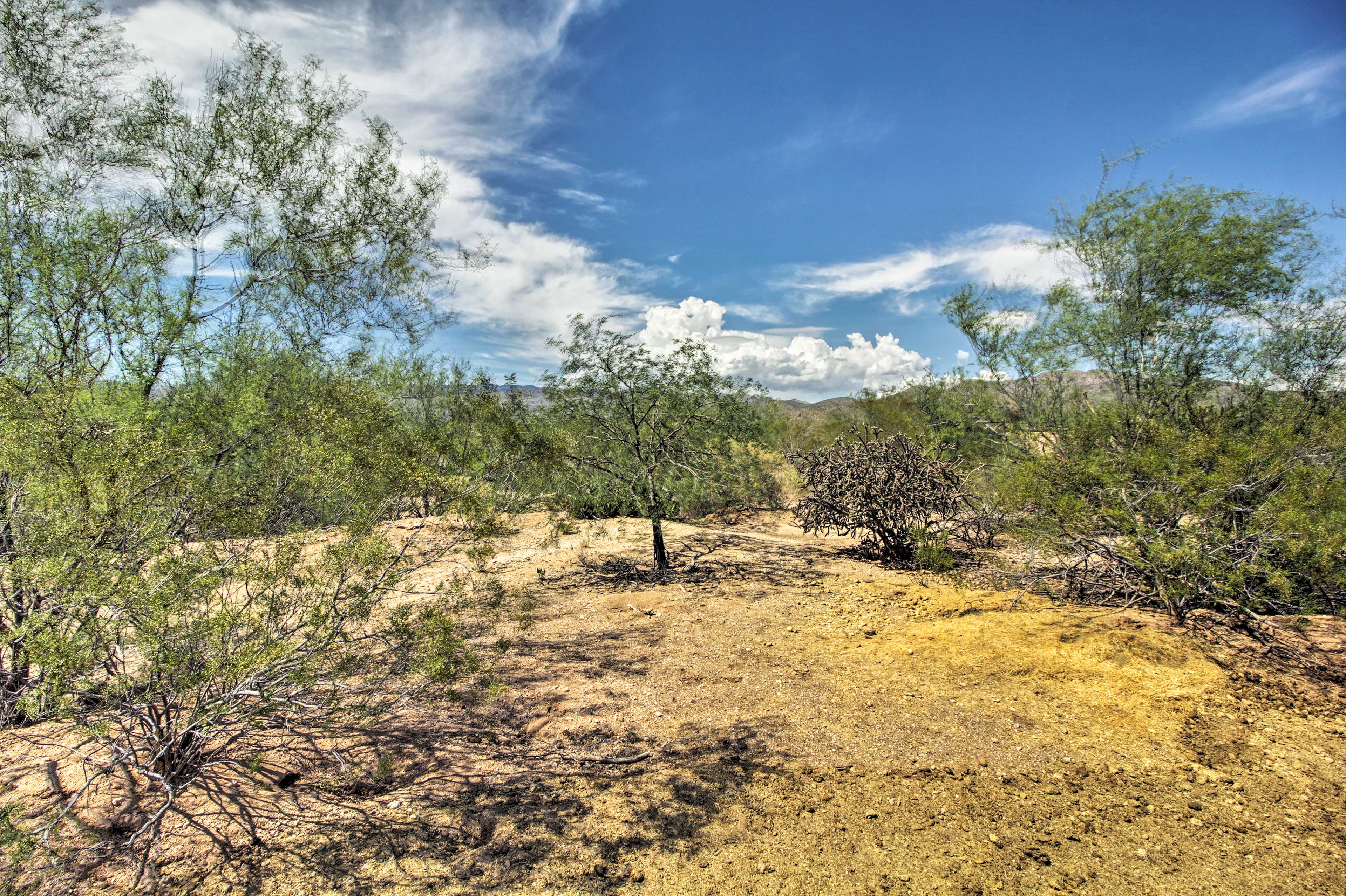 Nearby Hiking Trails