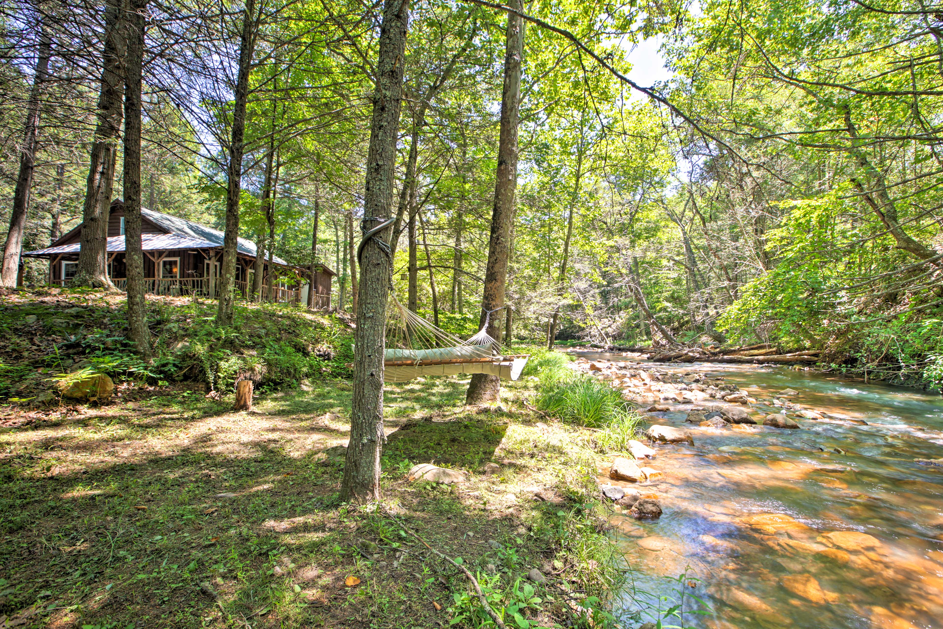 Trout Fishing Stream On-Site